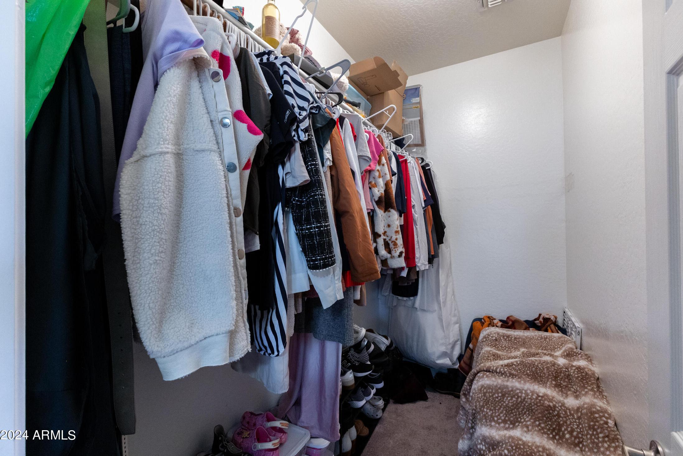 Photo #10