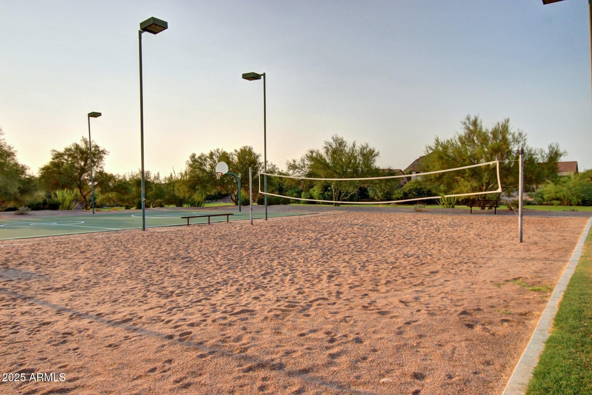 Photo #38