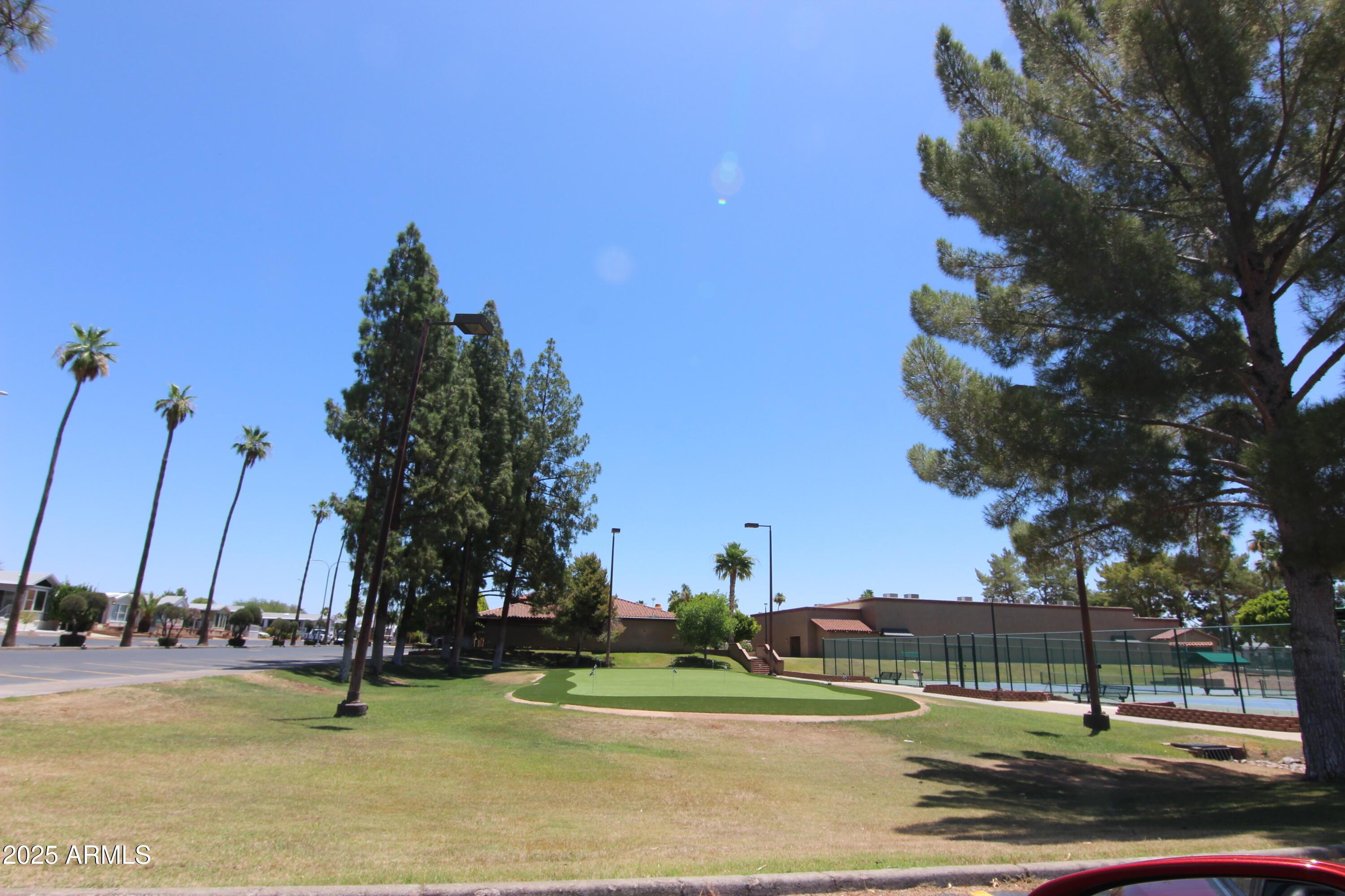 Photo #11