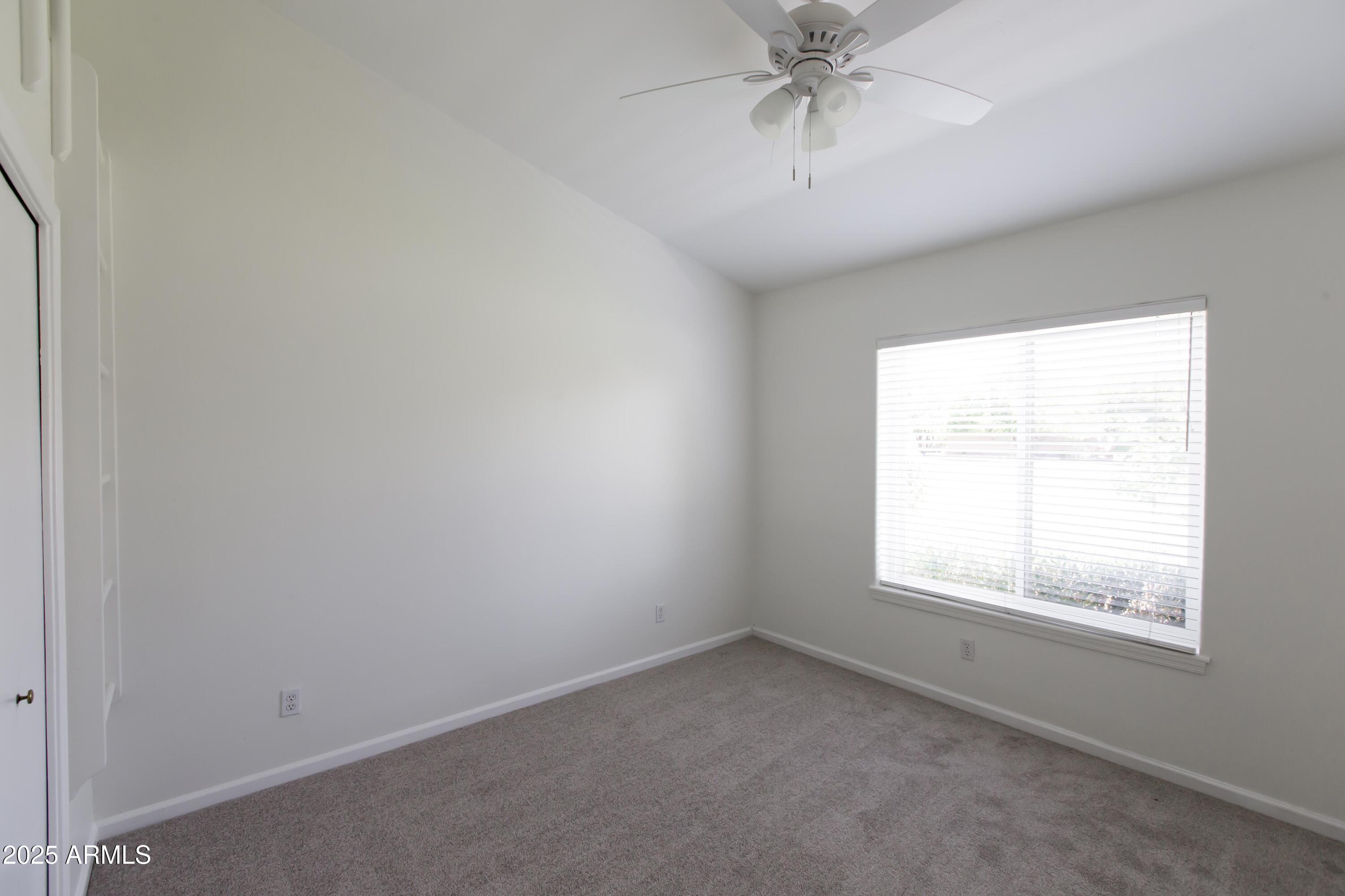Photo #43