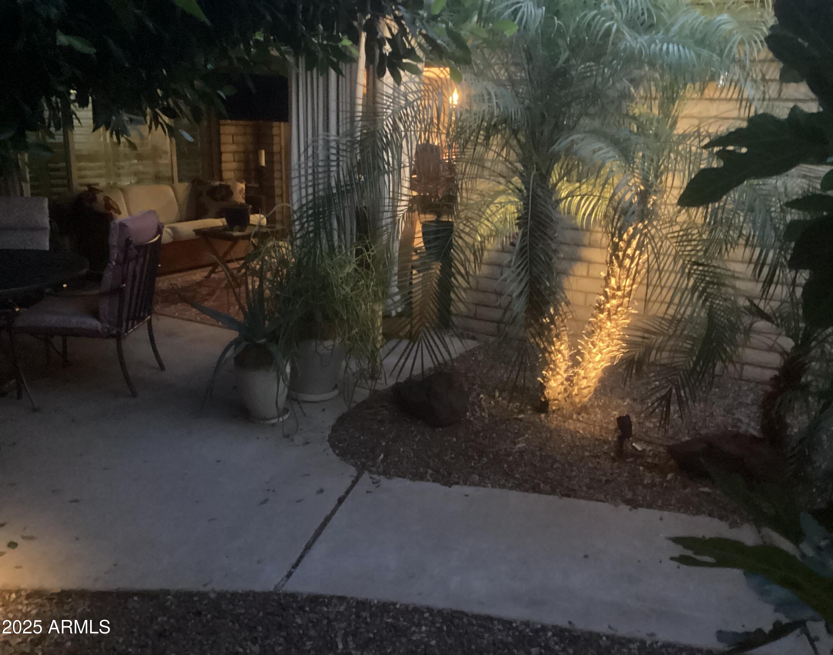 Photo #42