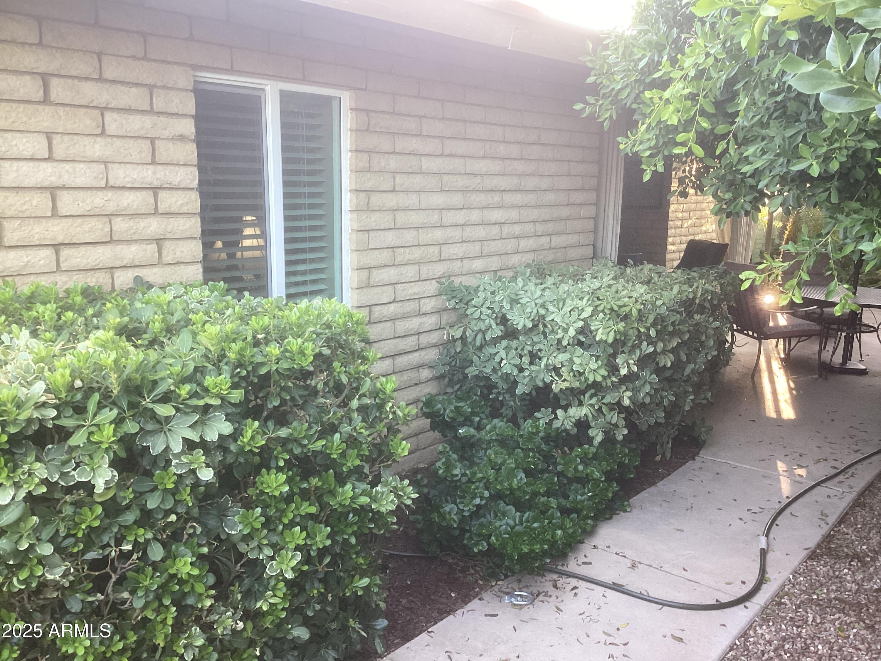 Photo #35