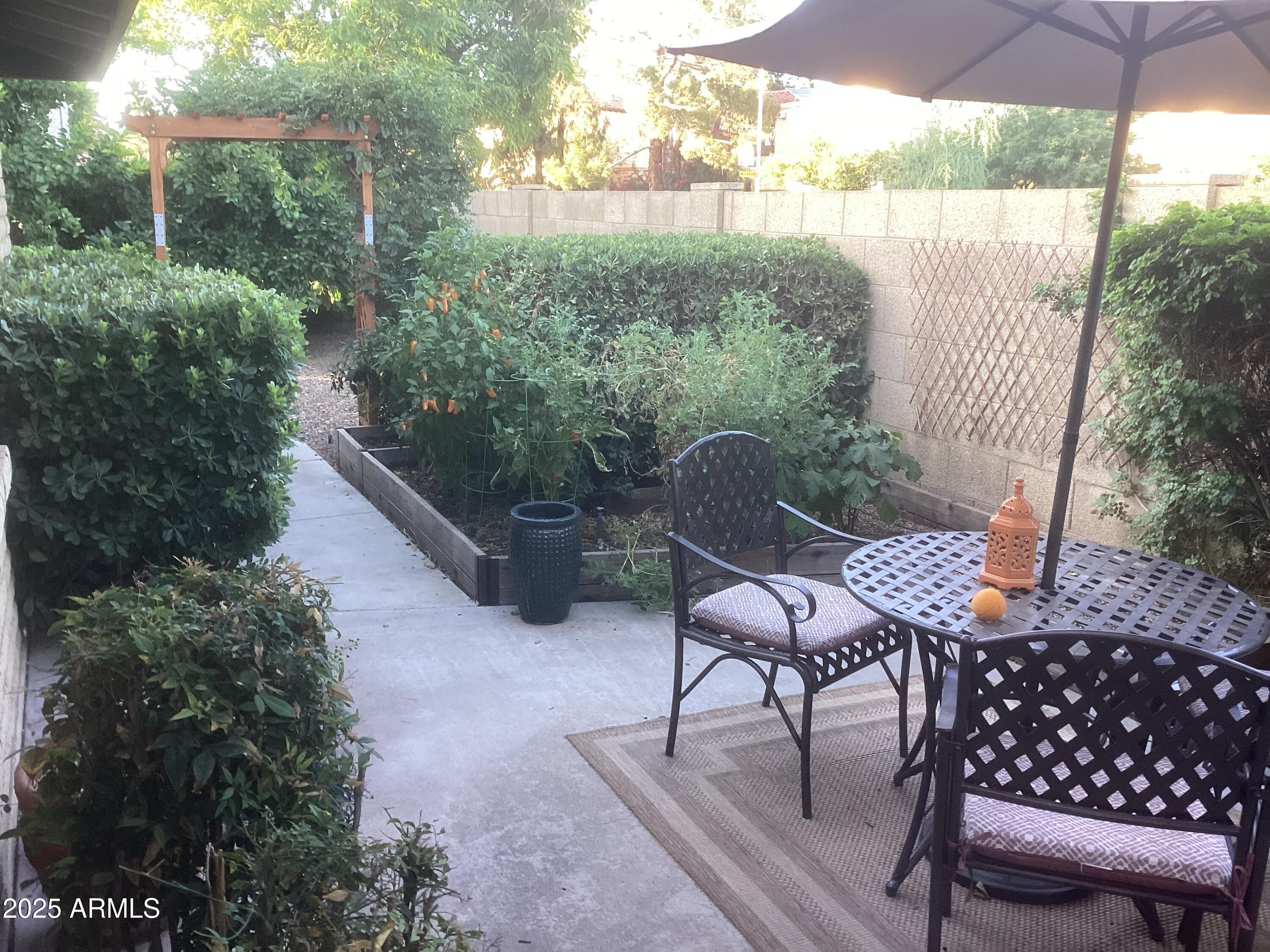 Photo #33