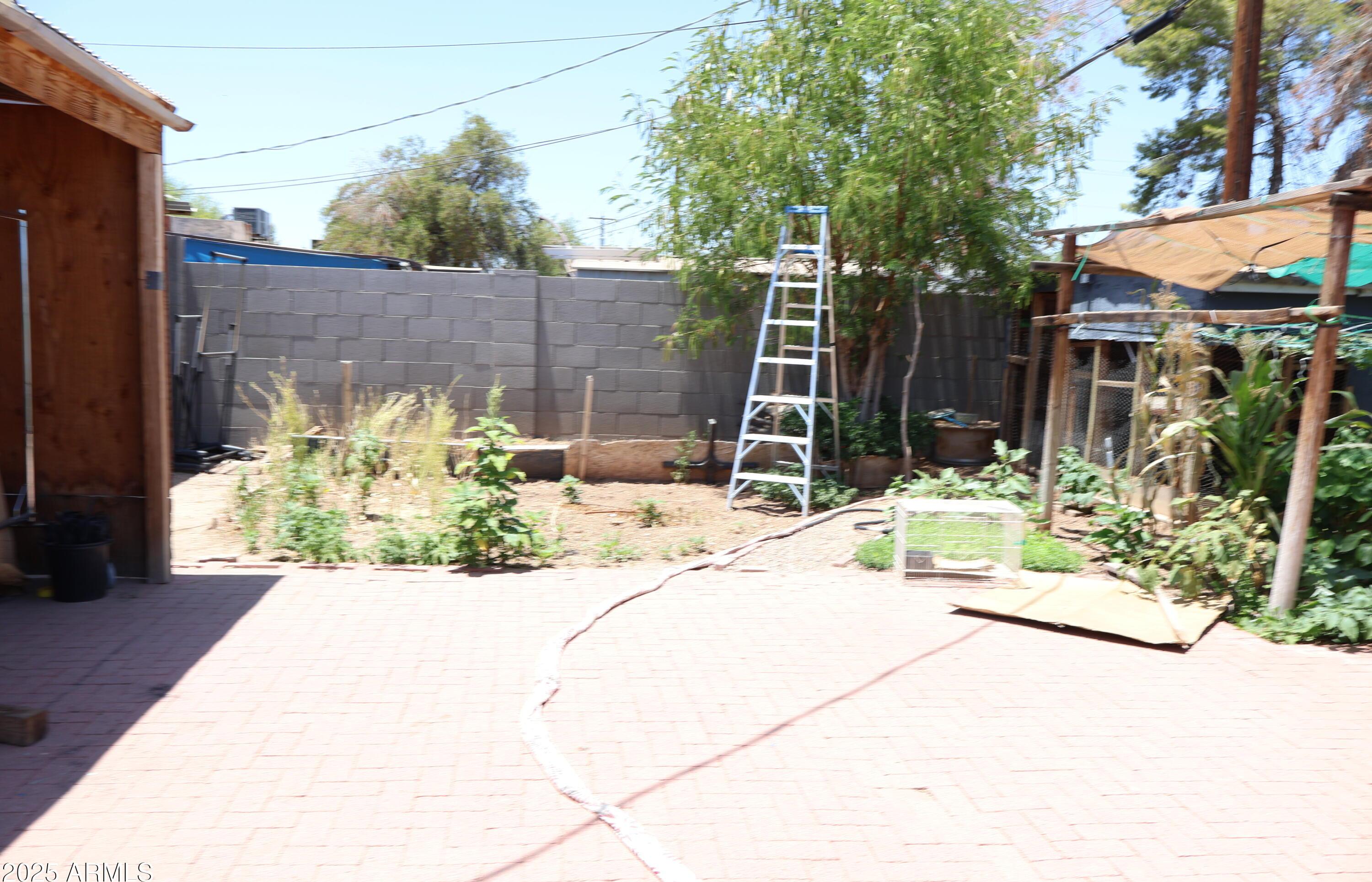 Photo #28