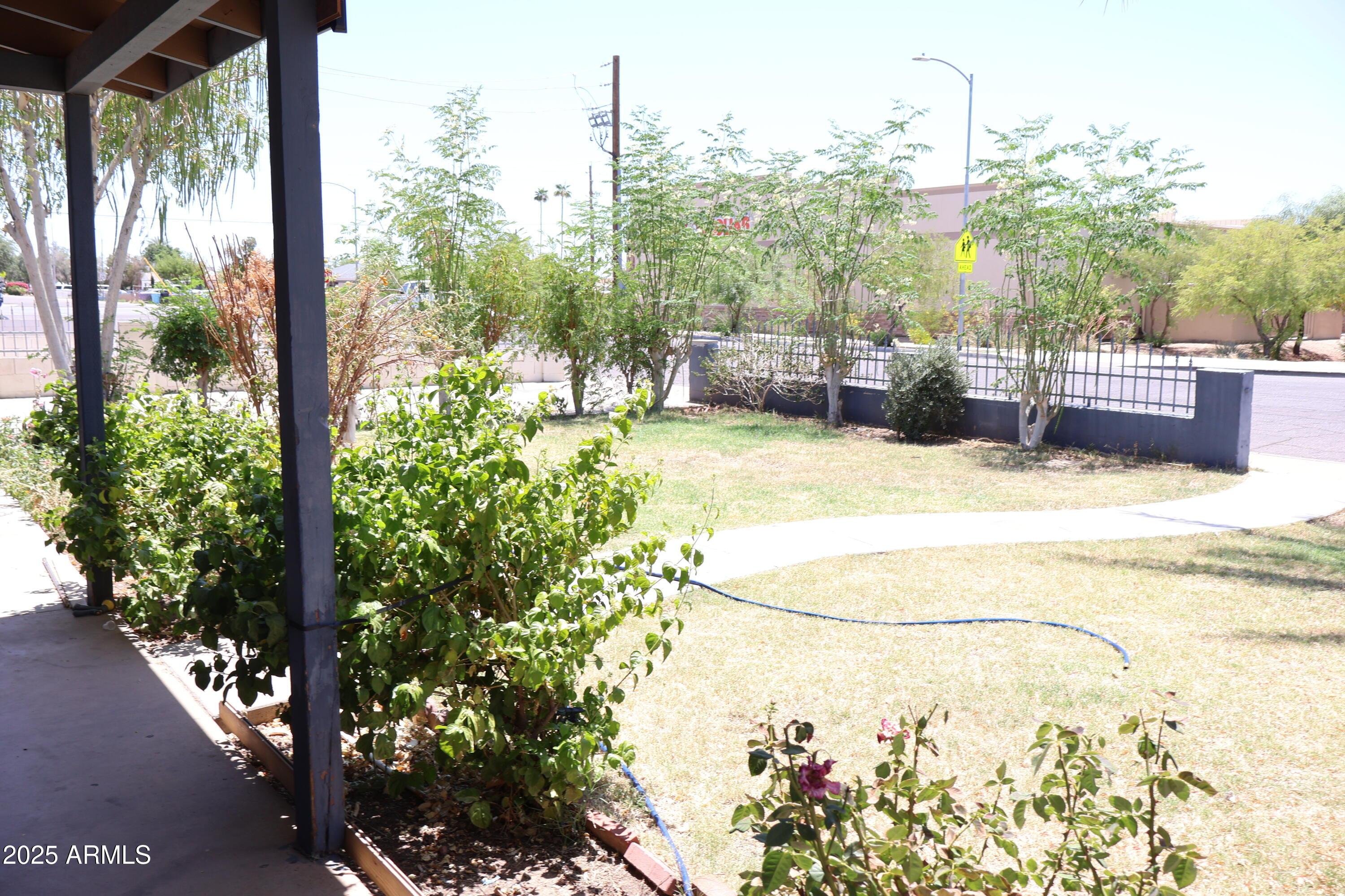 Photo #6