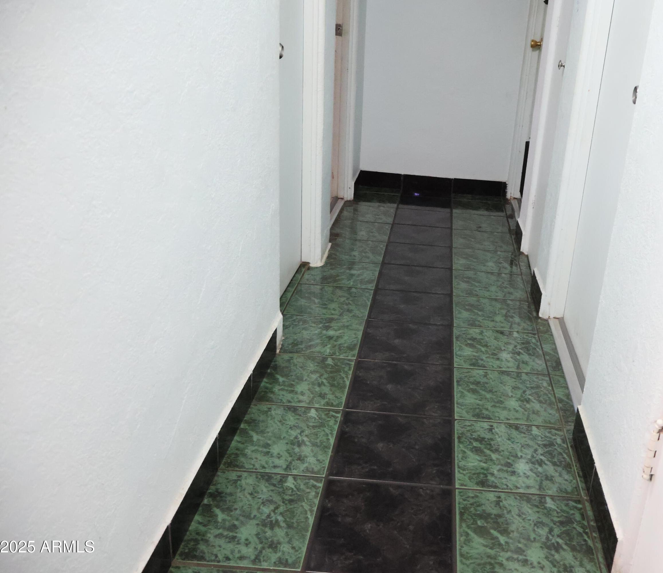 Photo #15