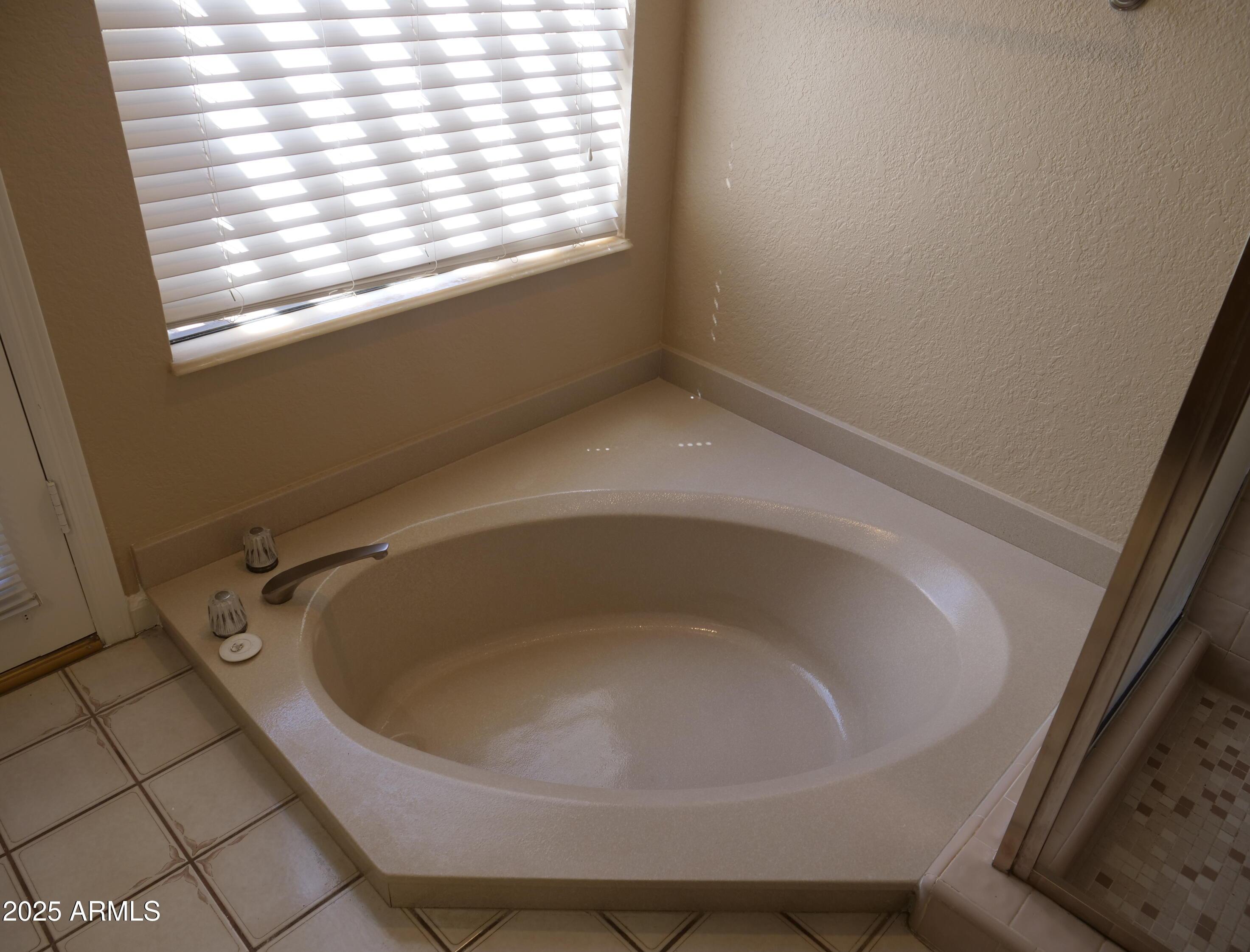 Photo #15