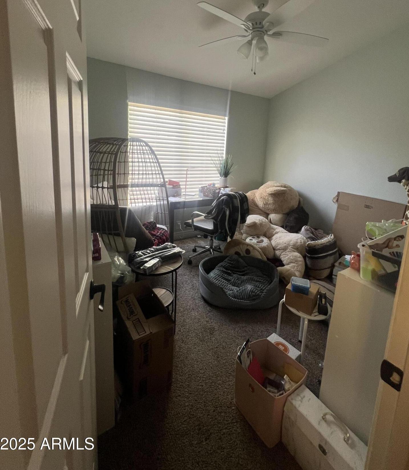 Photo #17