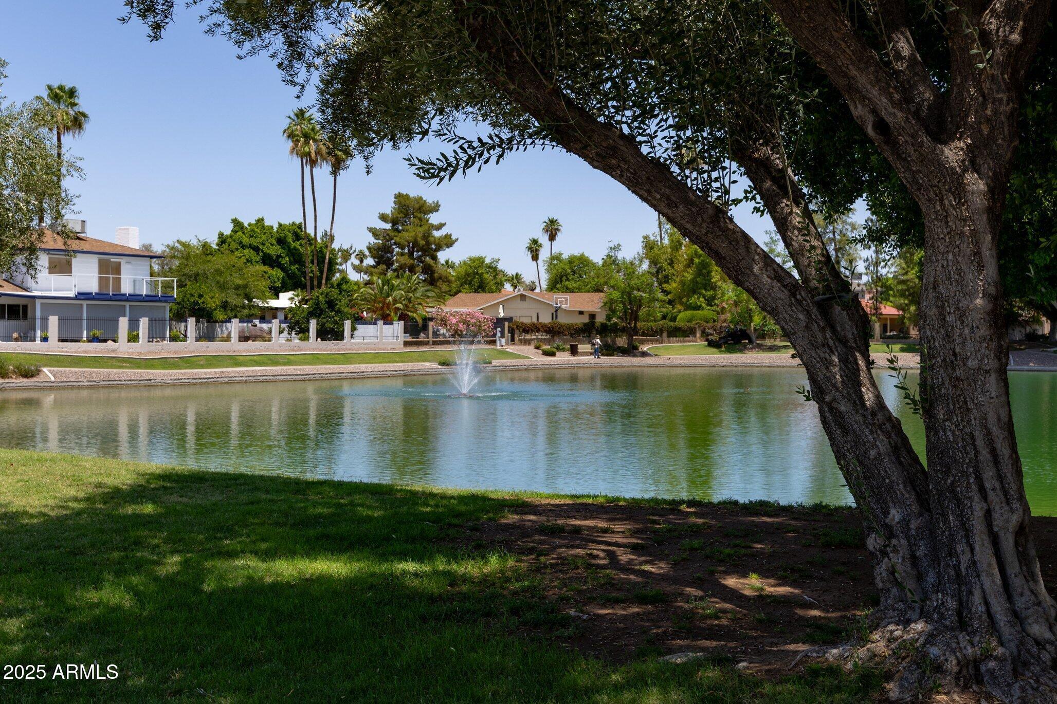 Photo #36