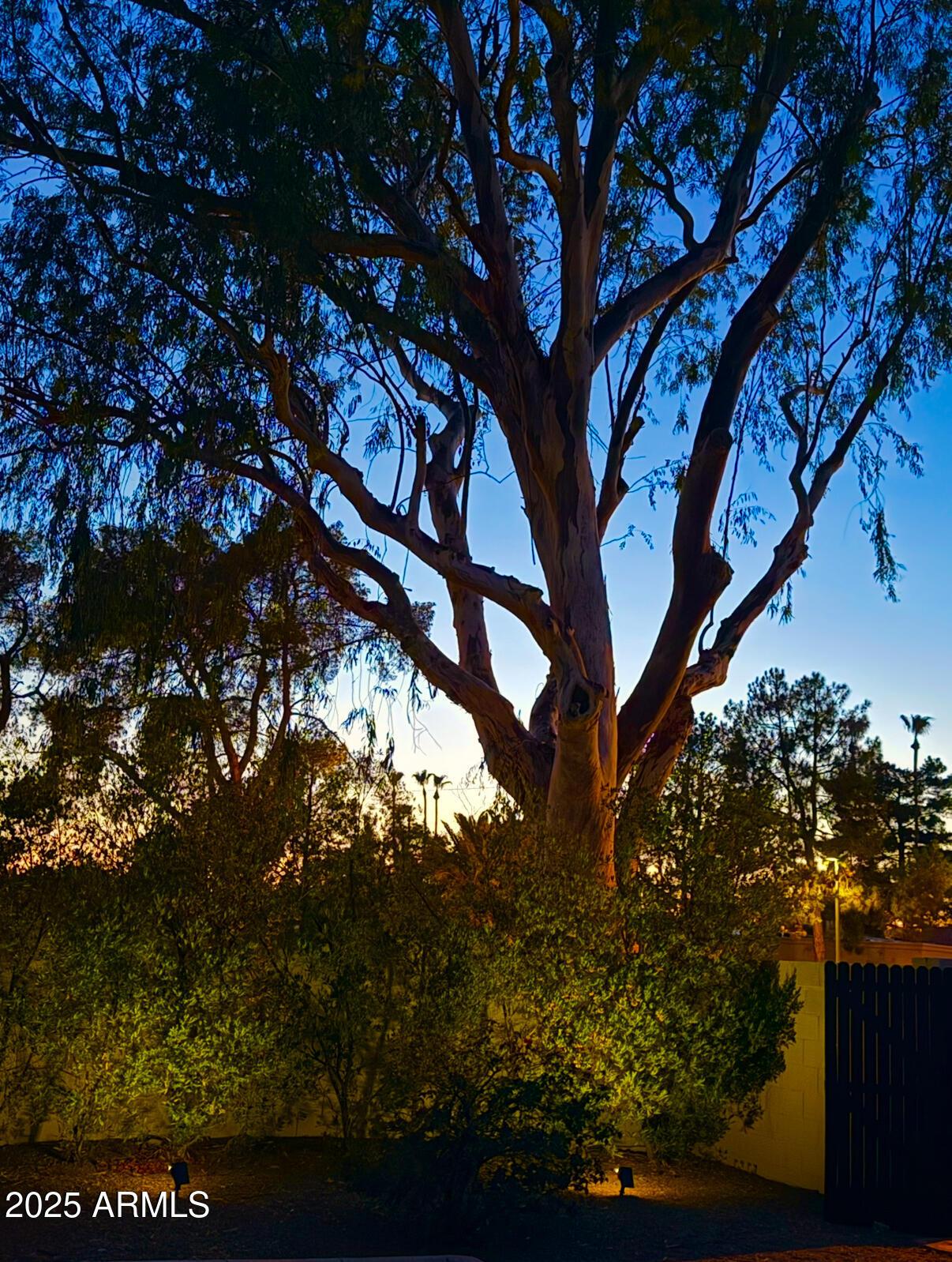 Photo #35