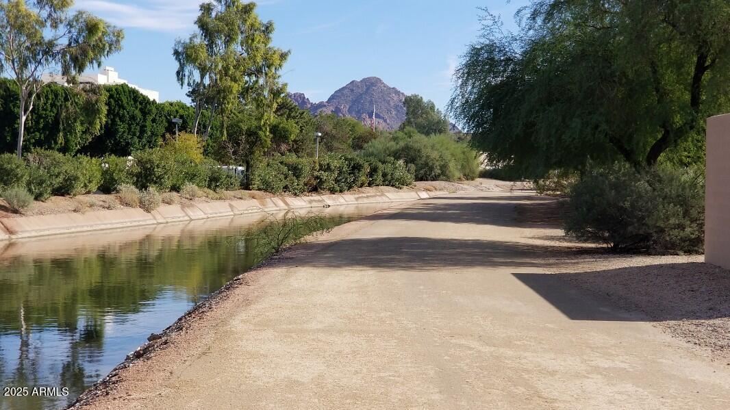 Photo #38