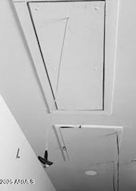 Photo #43