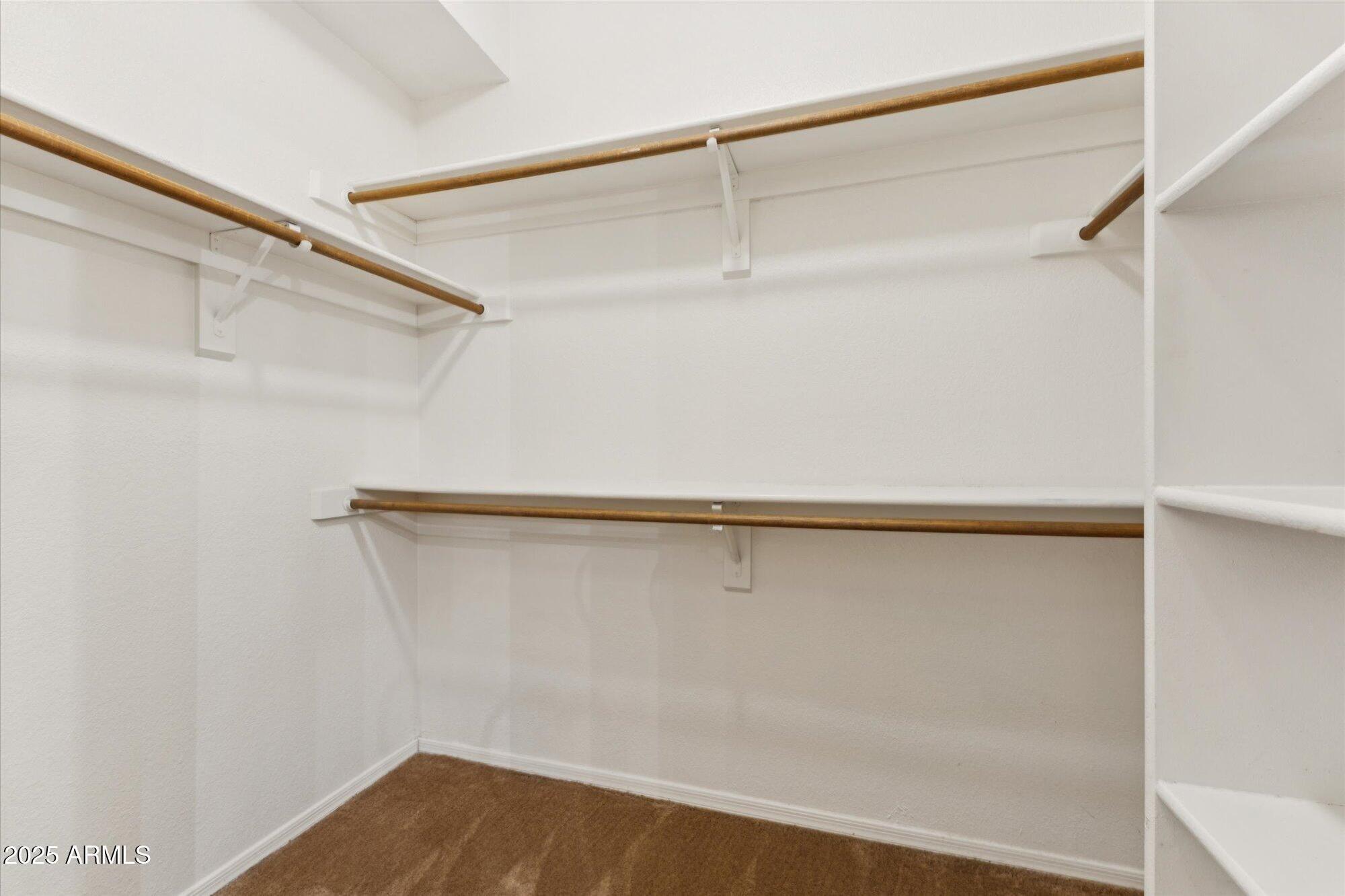 Photo #11