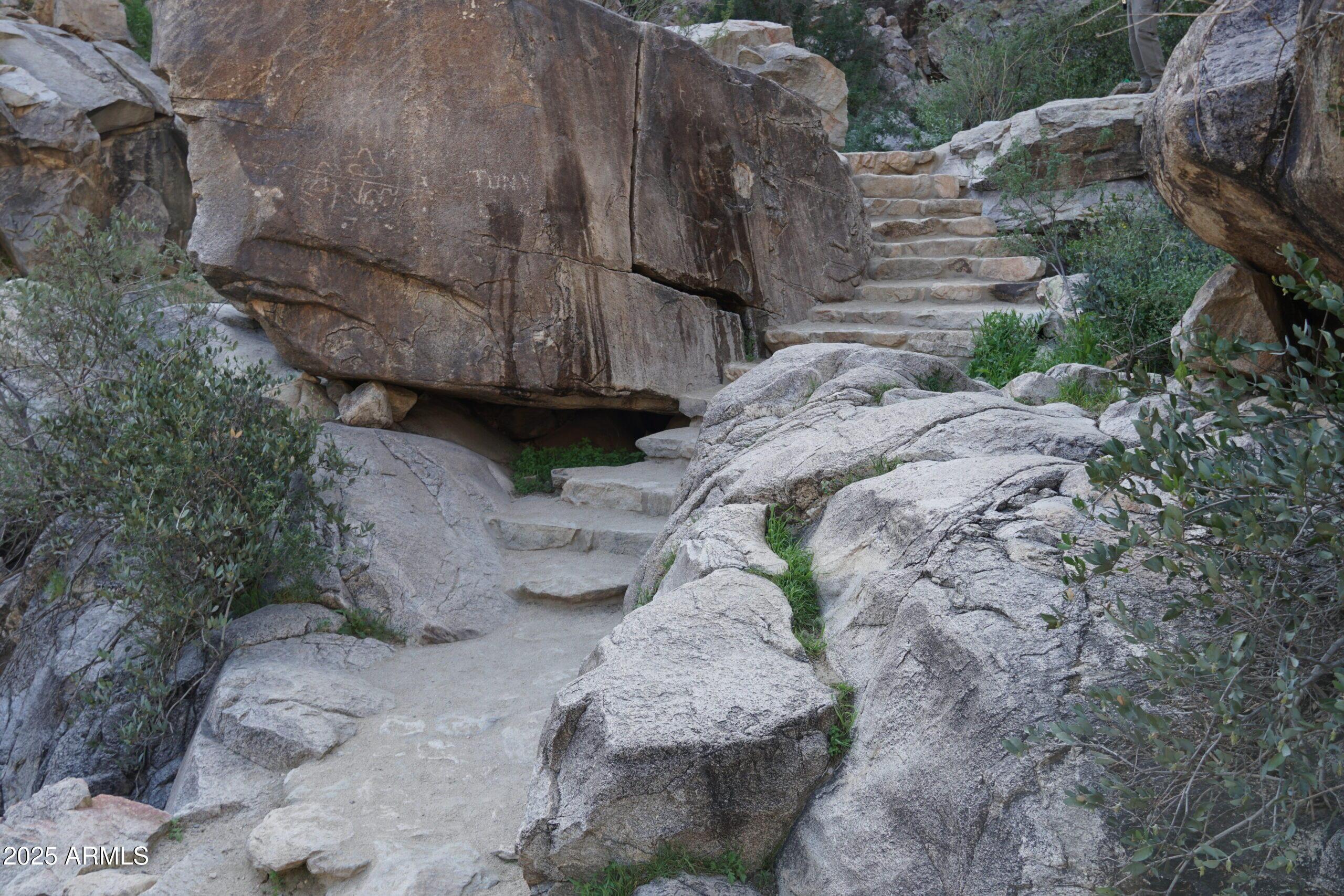 Photo #52