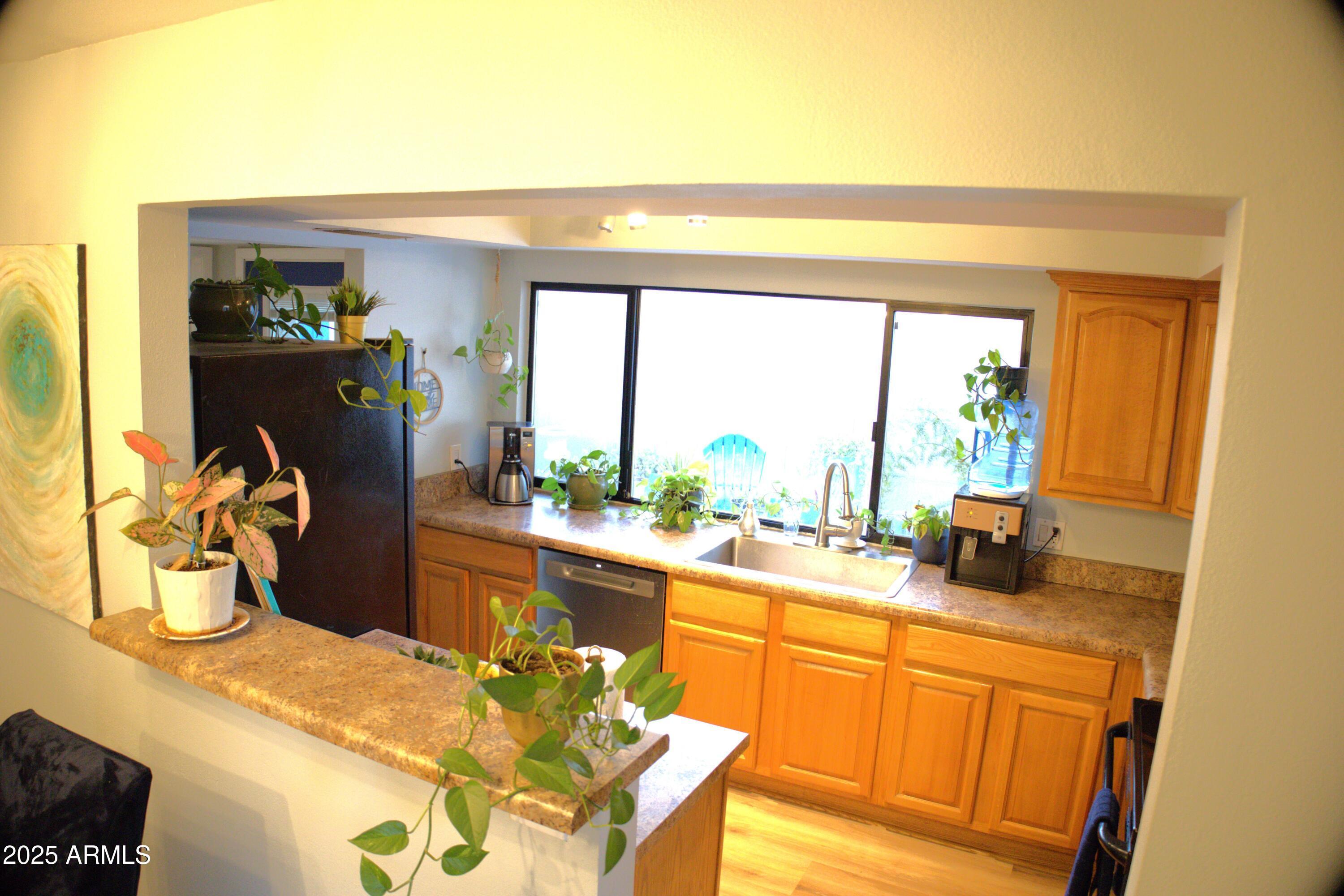 Photo #6