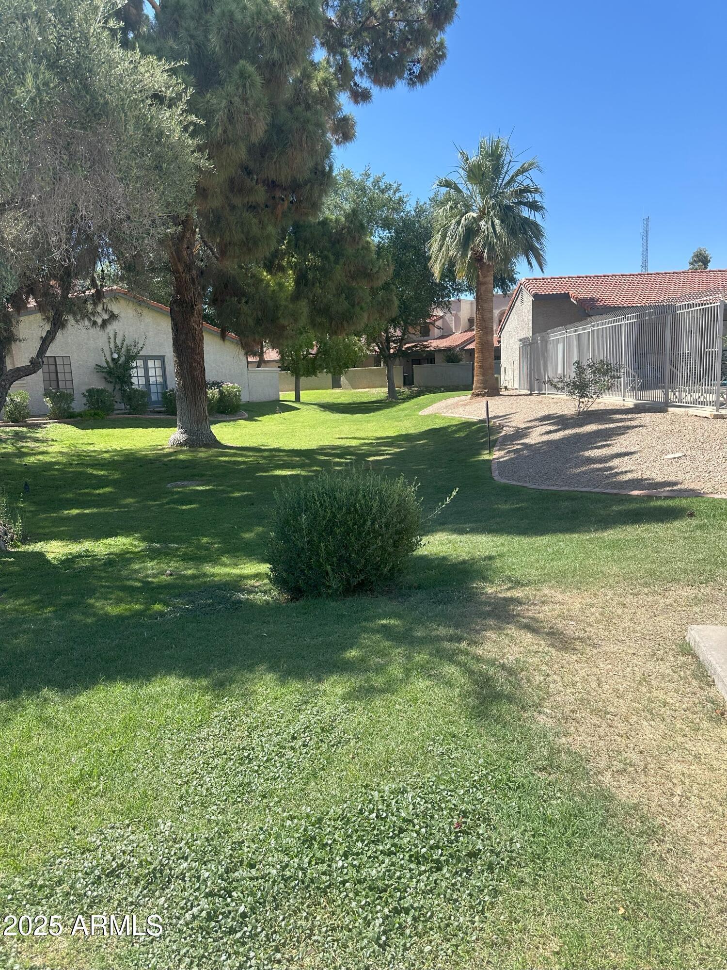 Photo #39