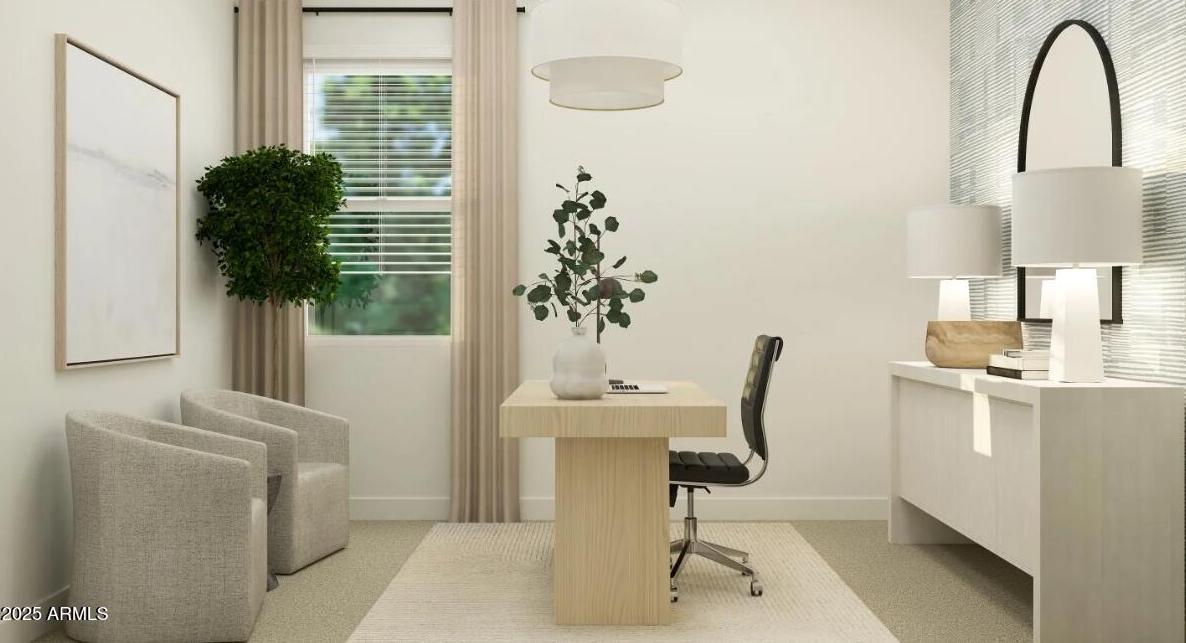 Photo #14