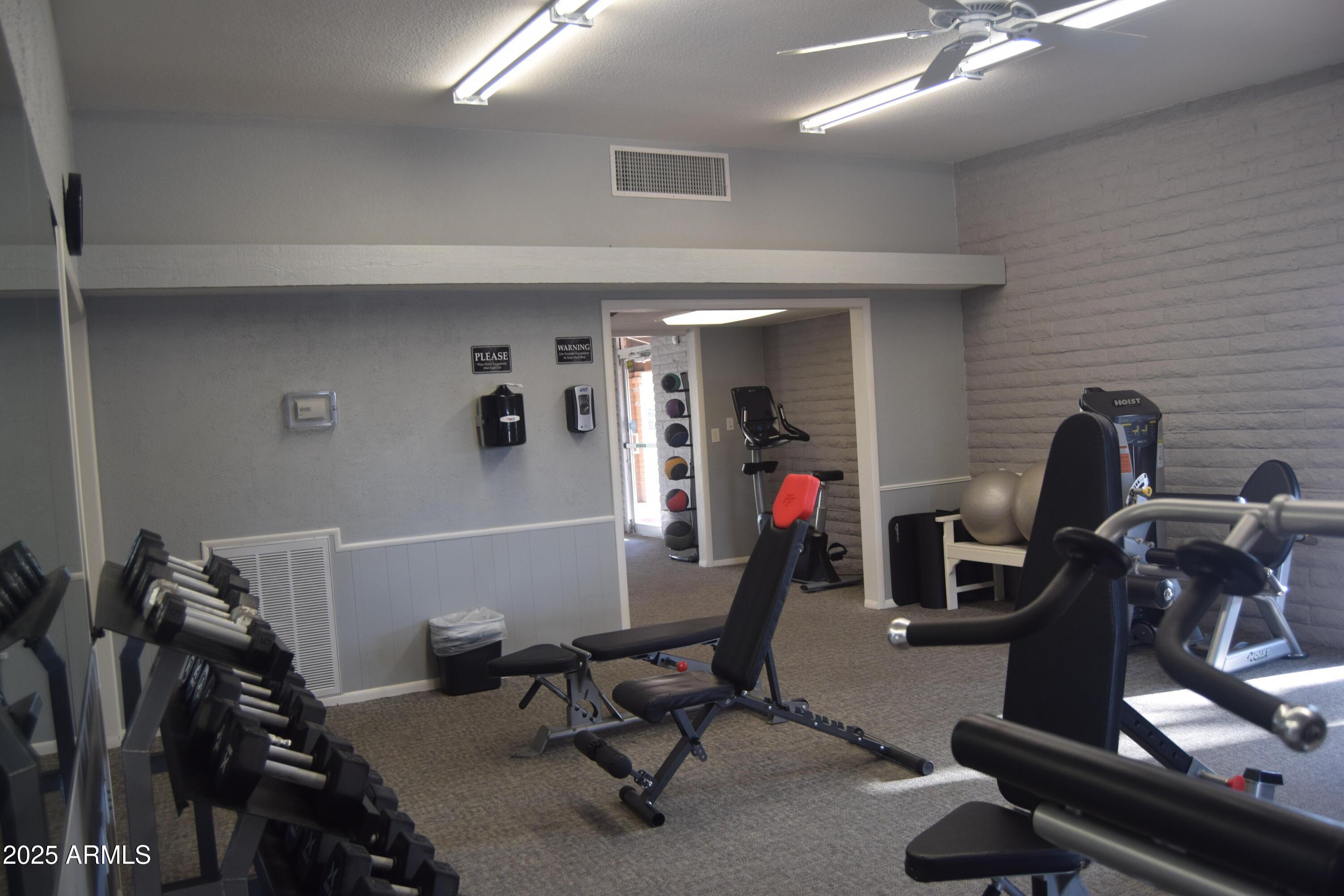 Photo #42