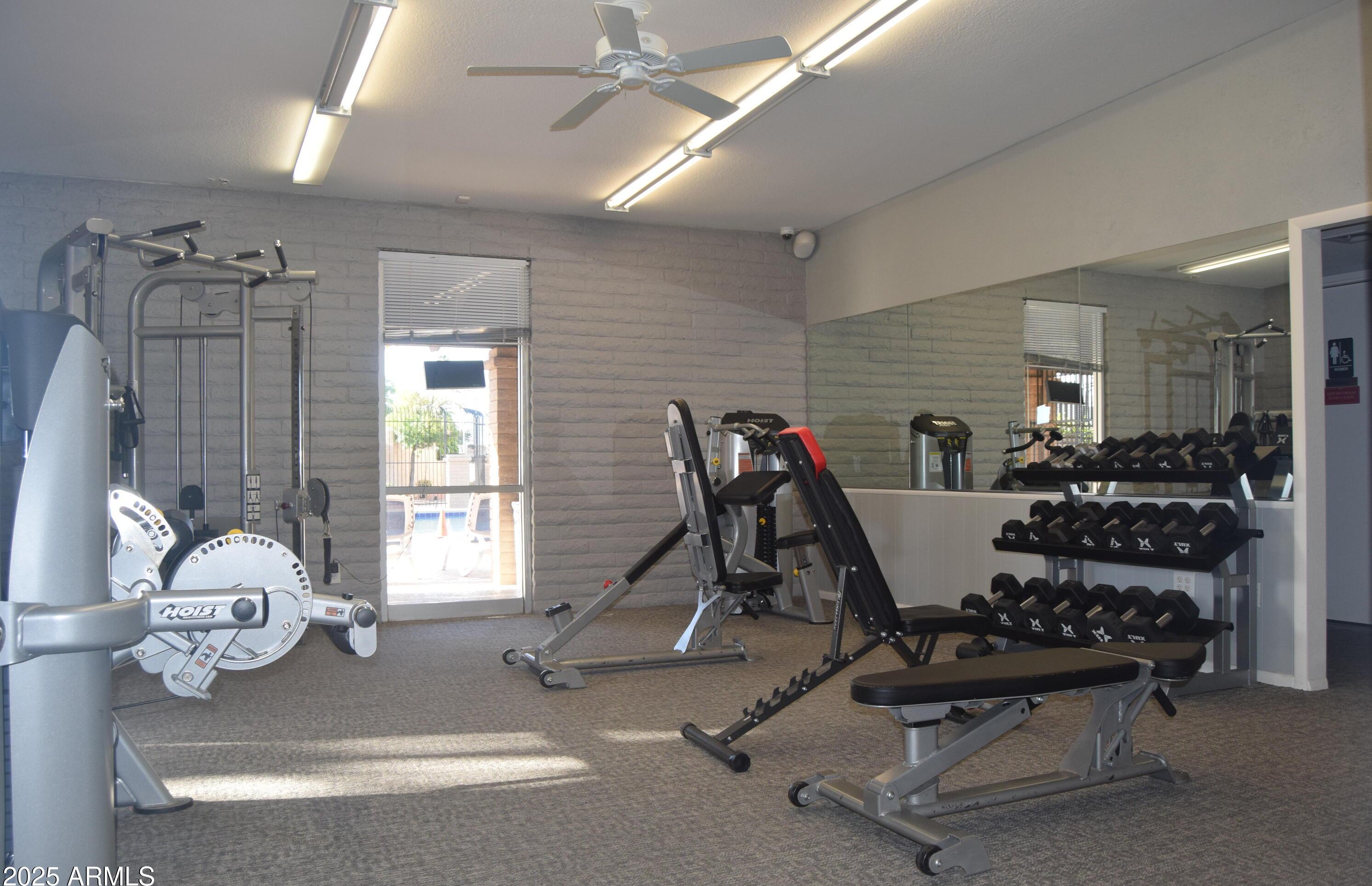 Photo #41