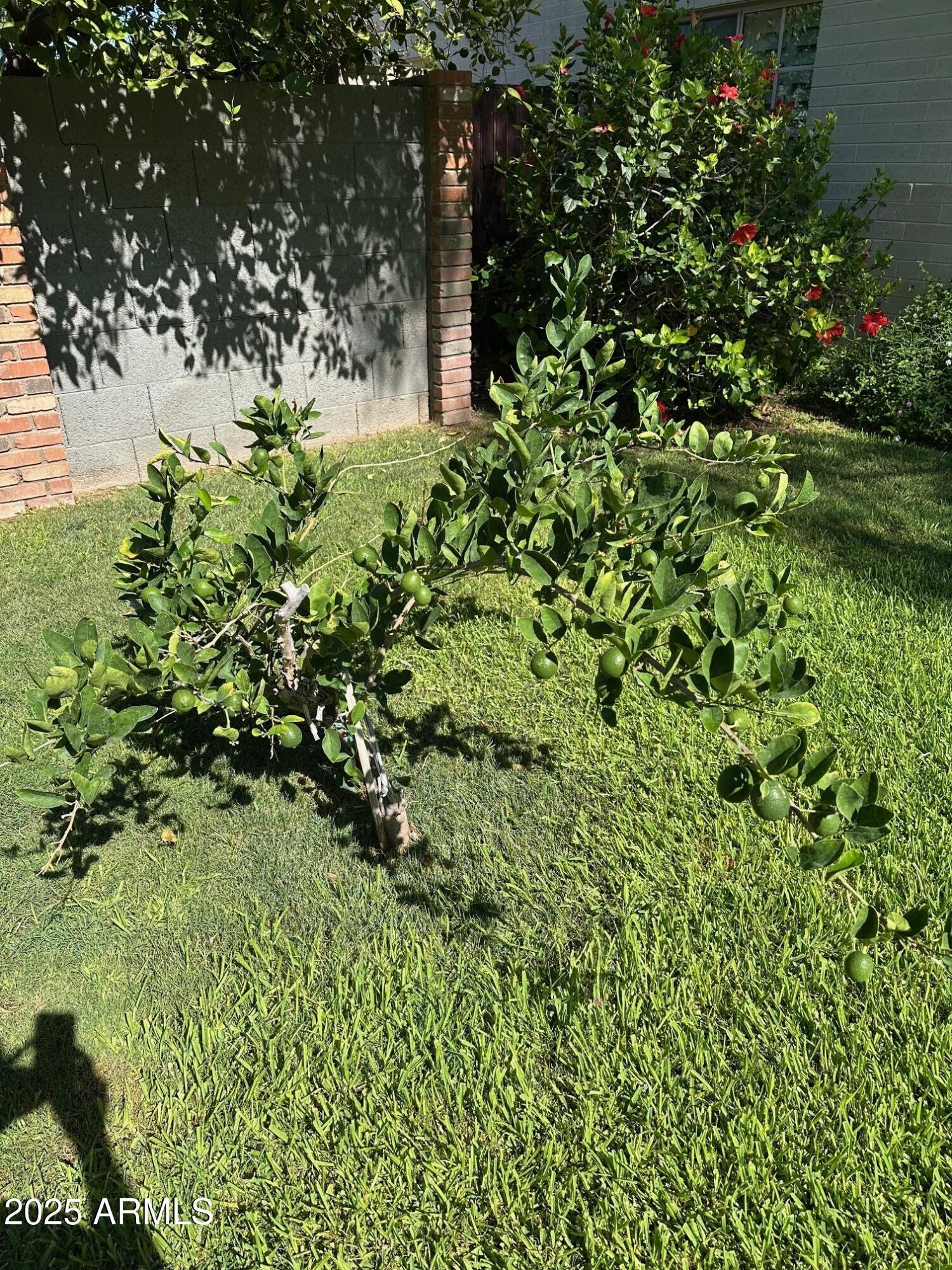 Photo #46