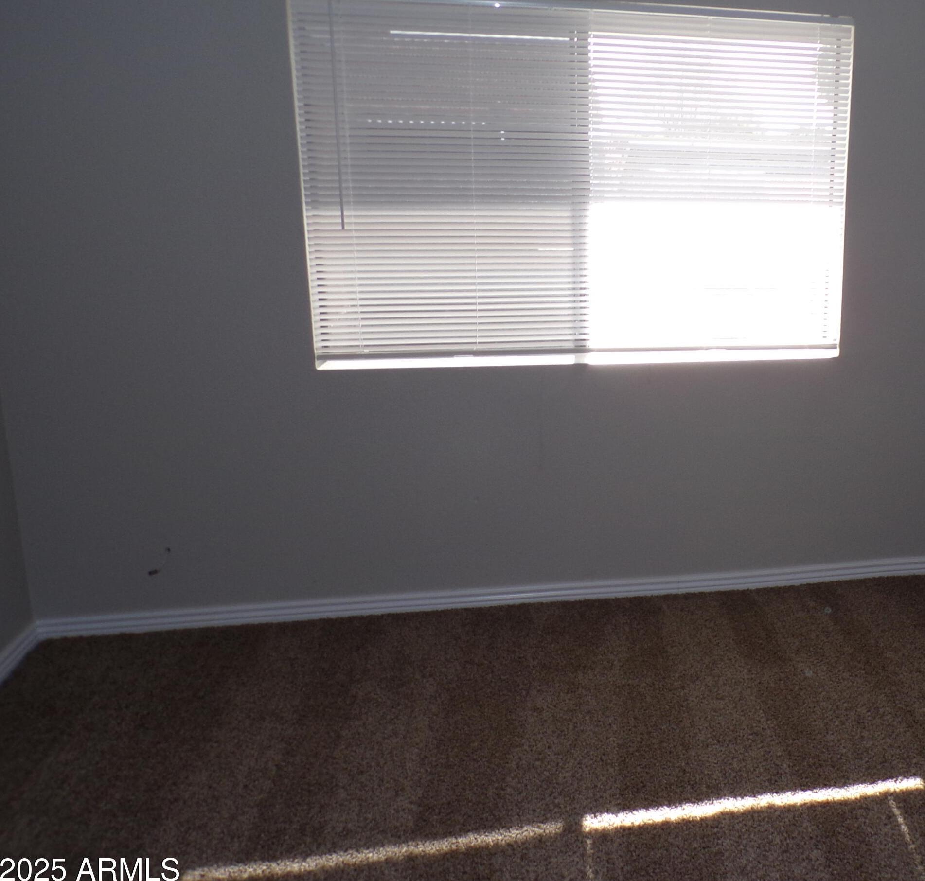 Photo #12