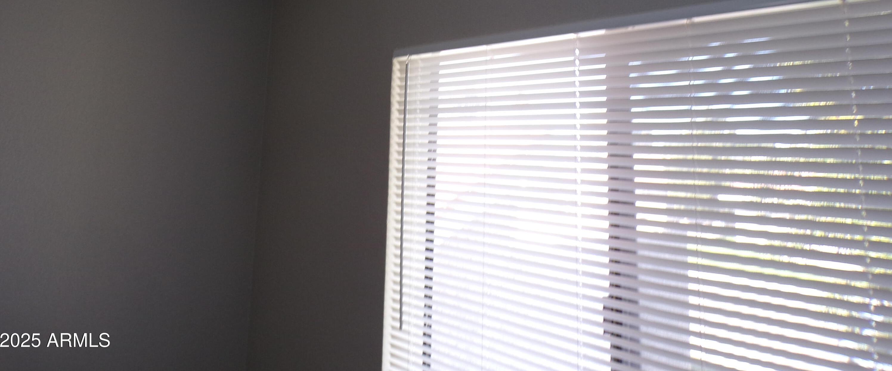 Photo #19