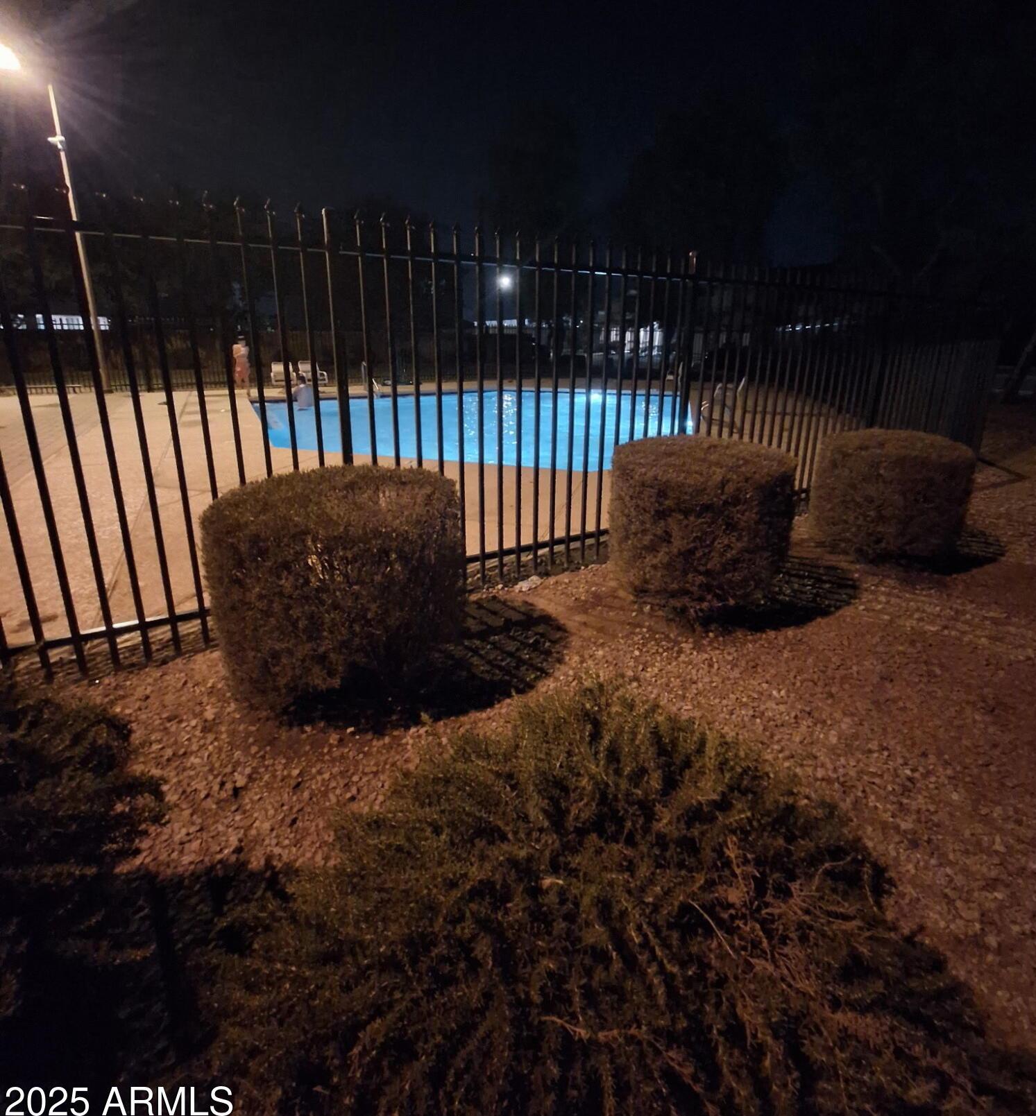 Photo #43