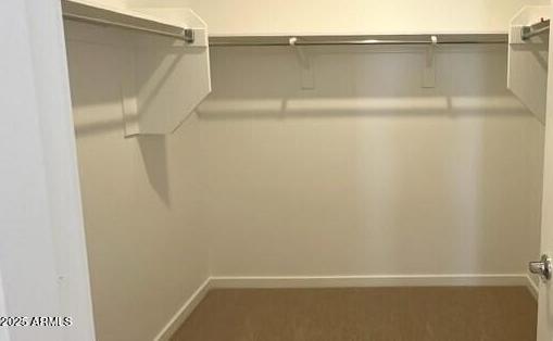Photo #14