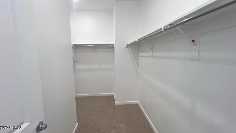 Photo #15