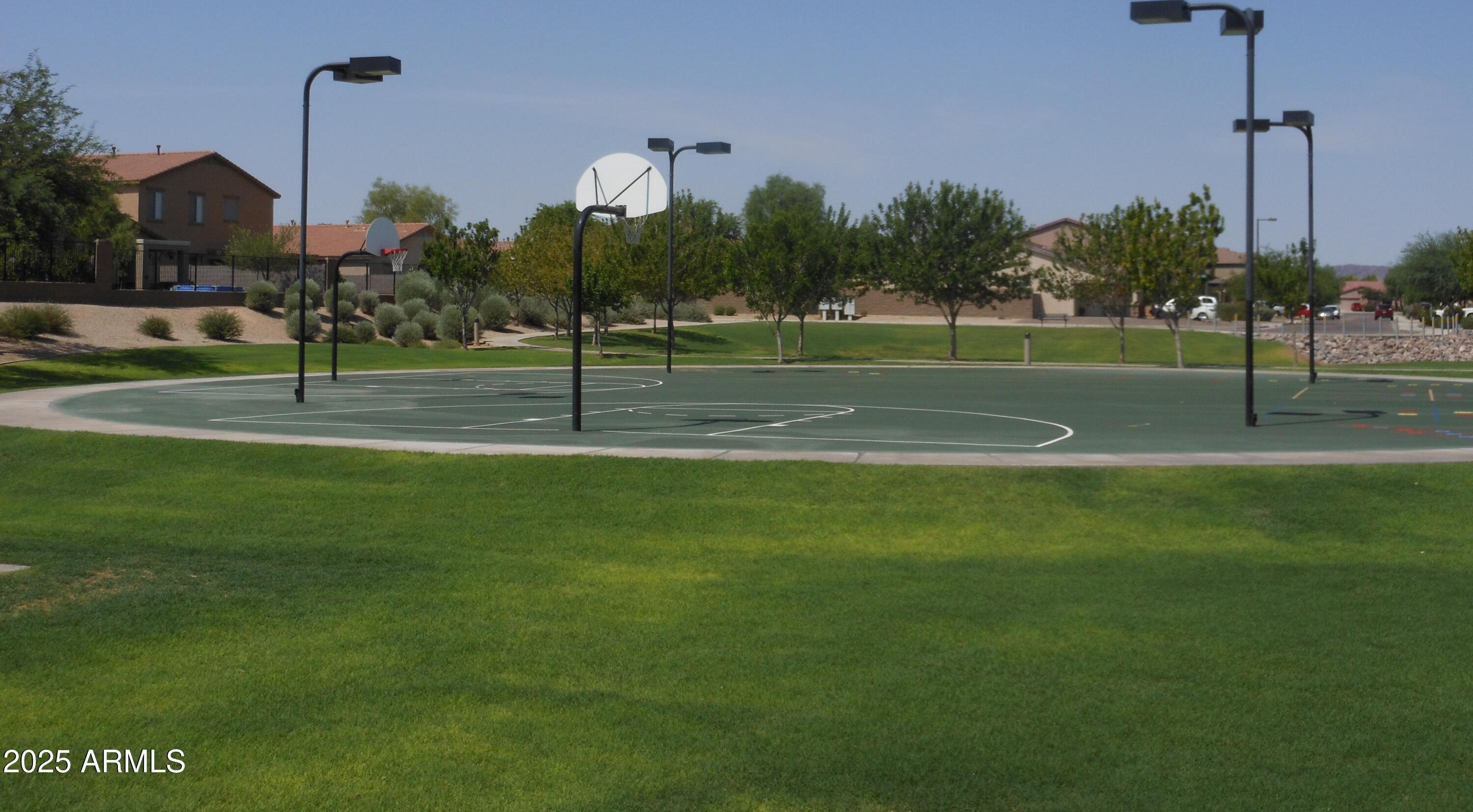 Photo #61