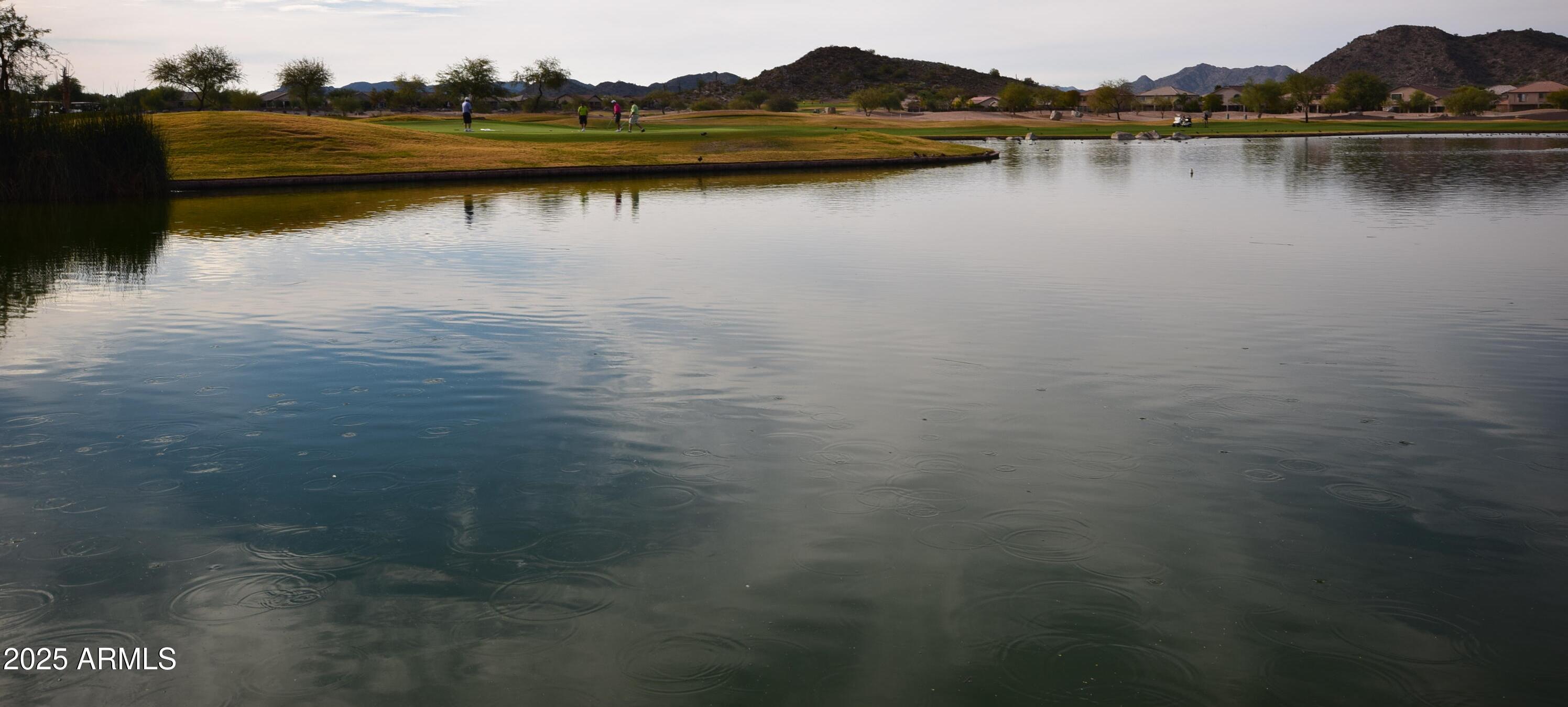 Photo #66