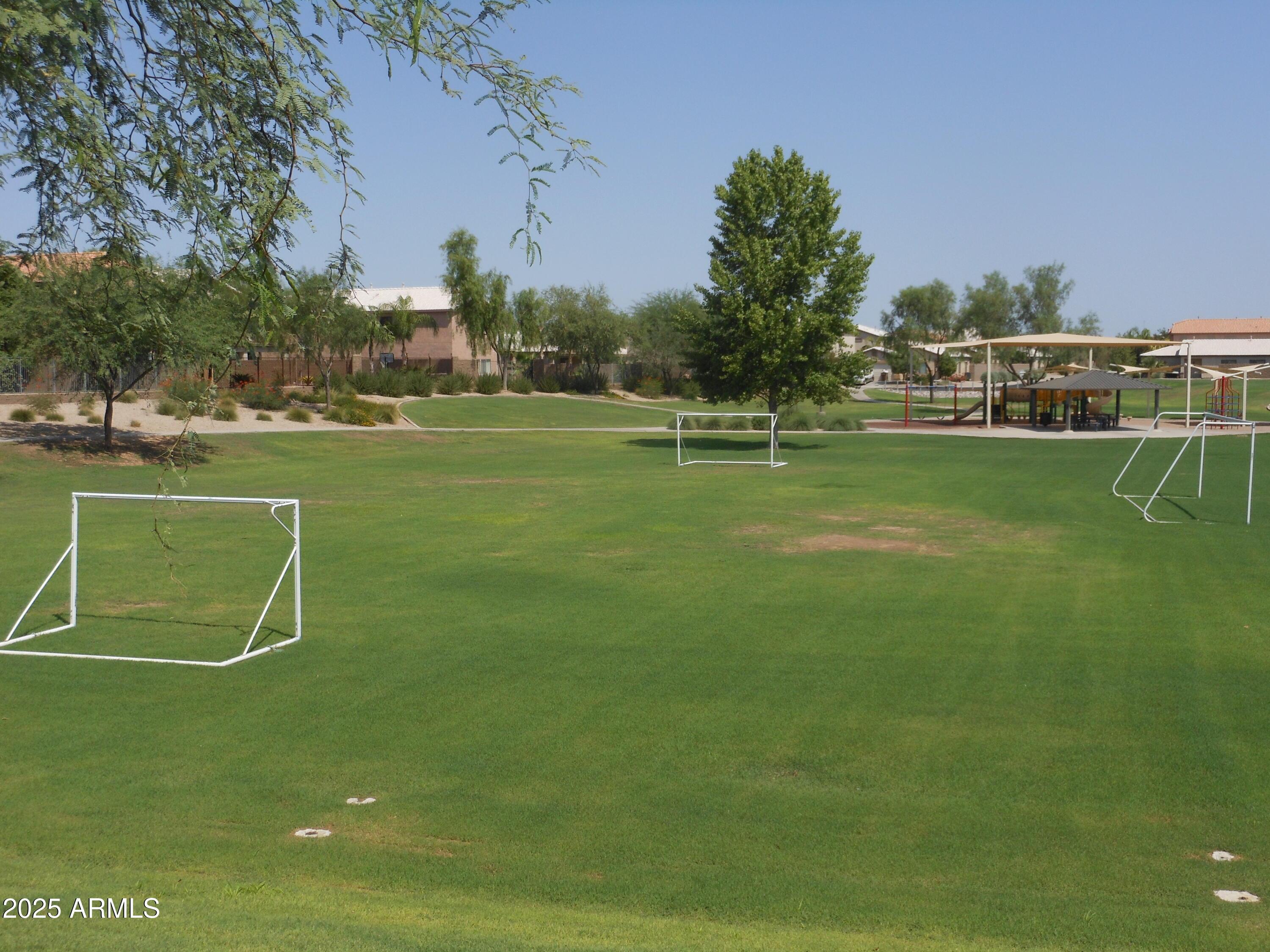 Photo #62