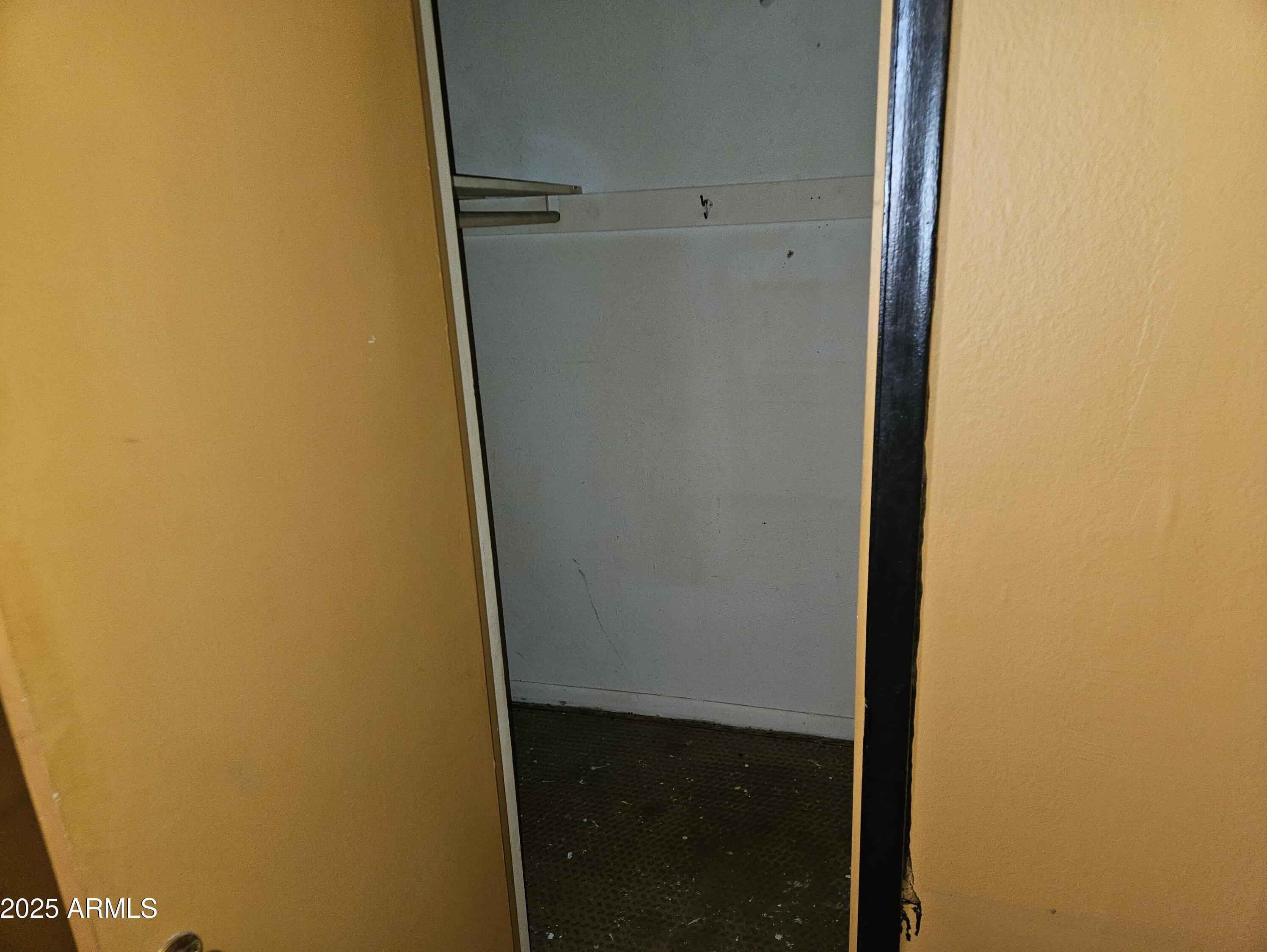 Photo #21
