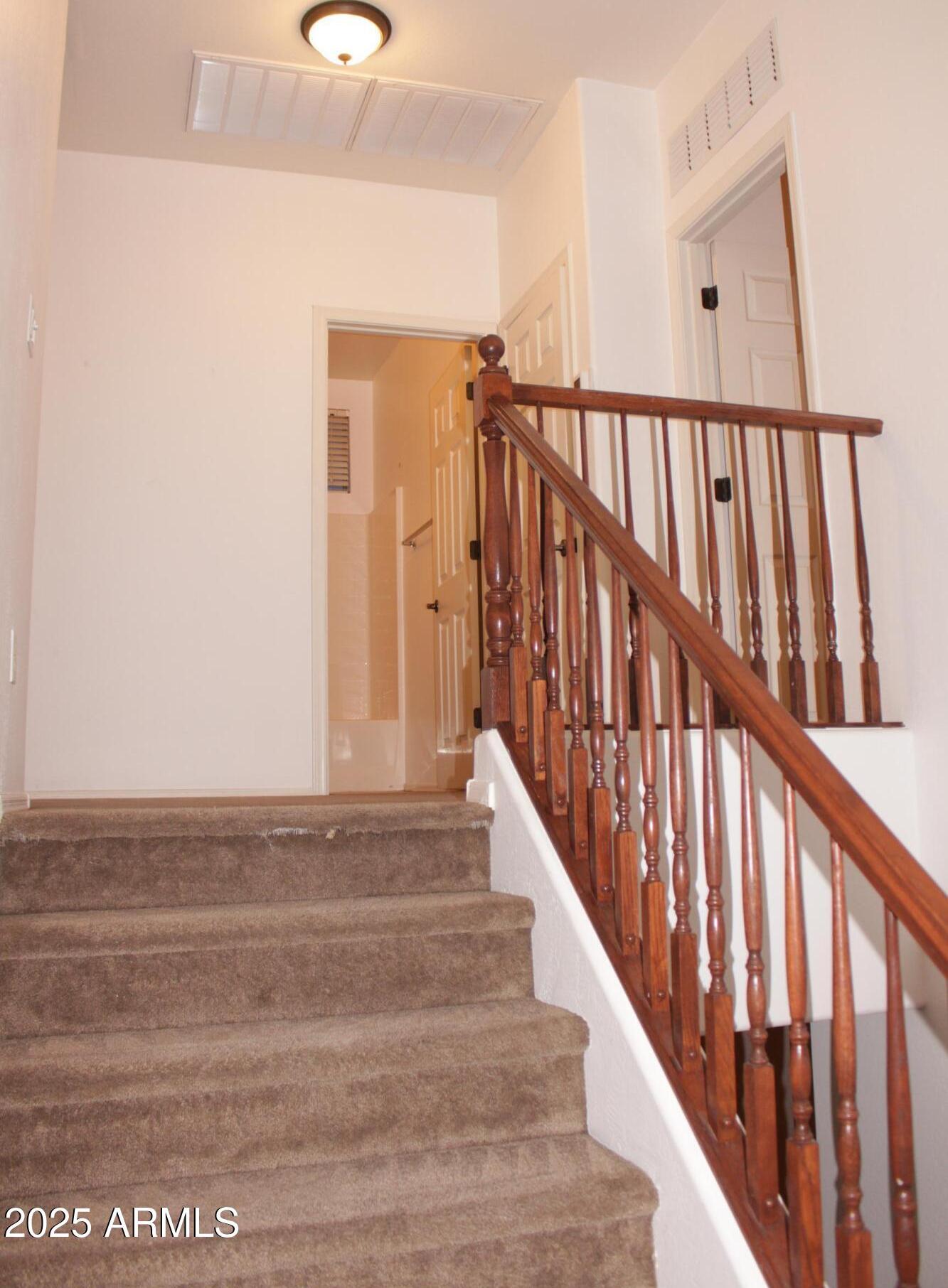 Photo #14