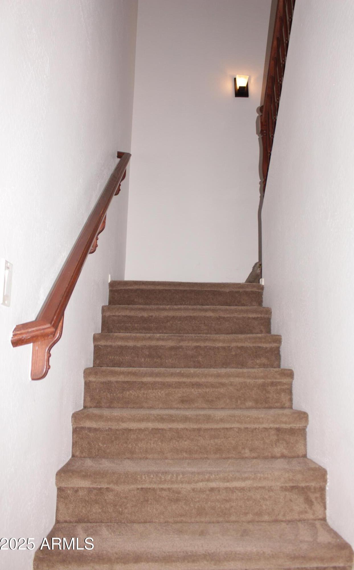 Photo #13