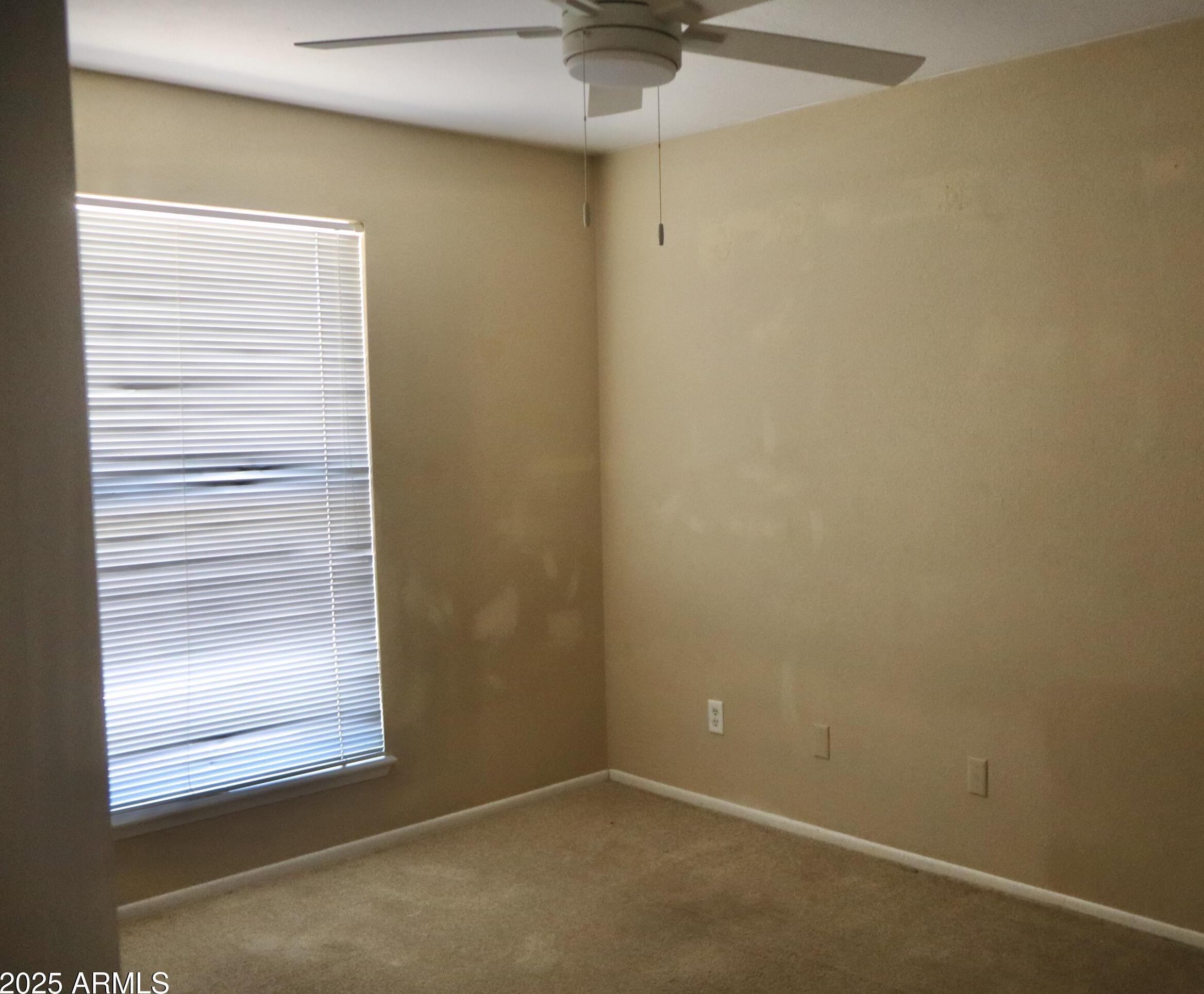 Photo #21