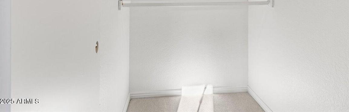 Photo #23