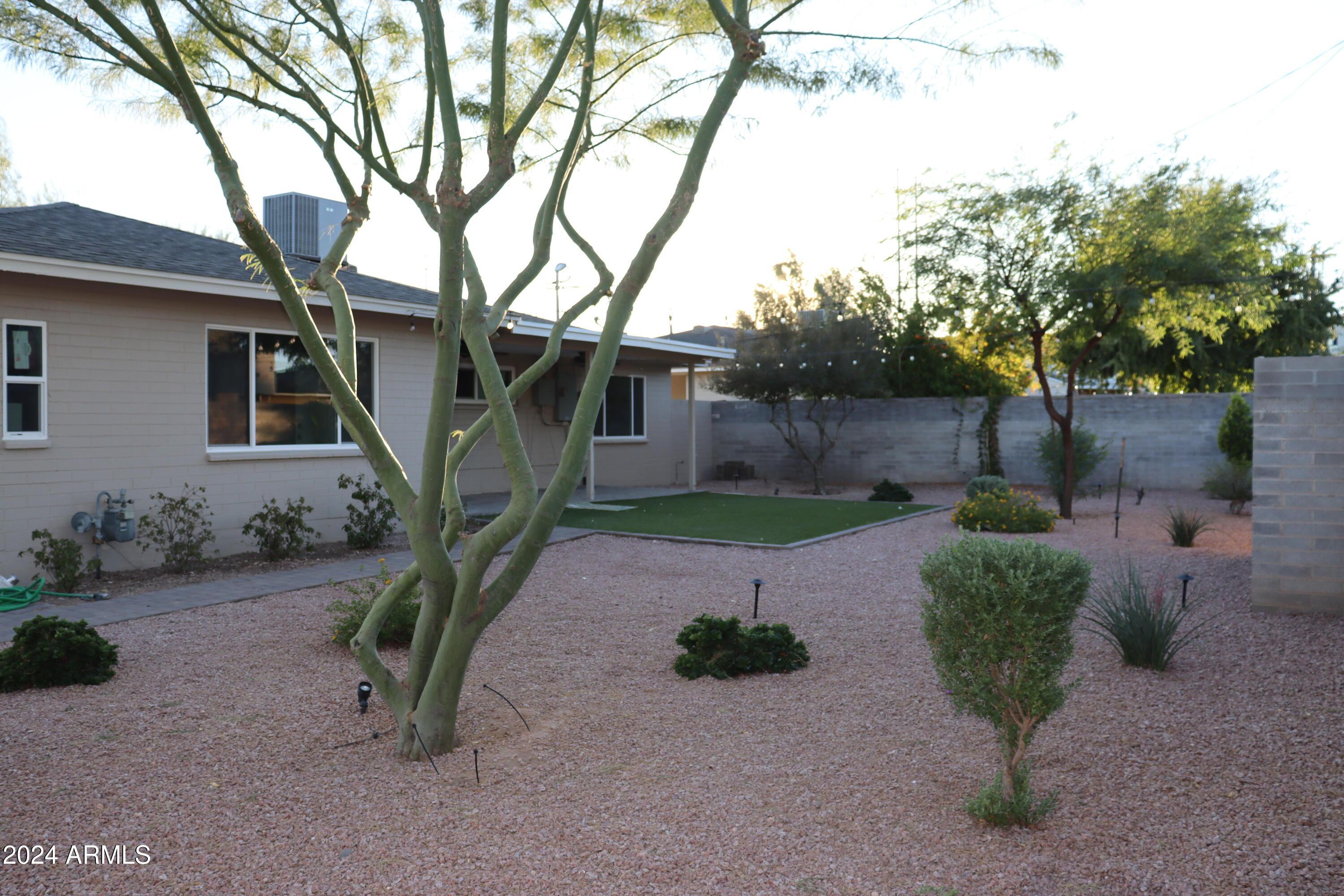 Photo #22