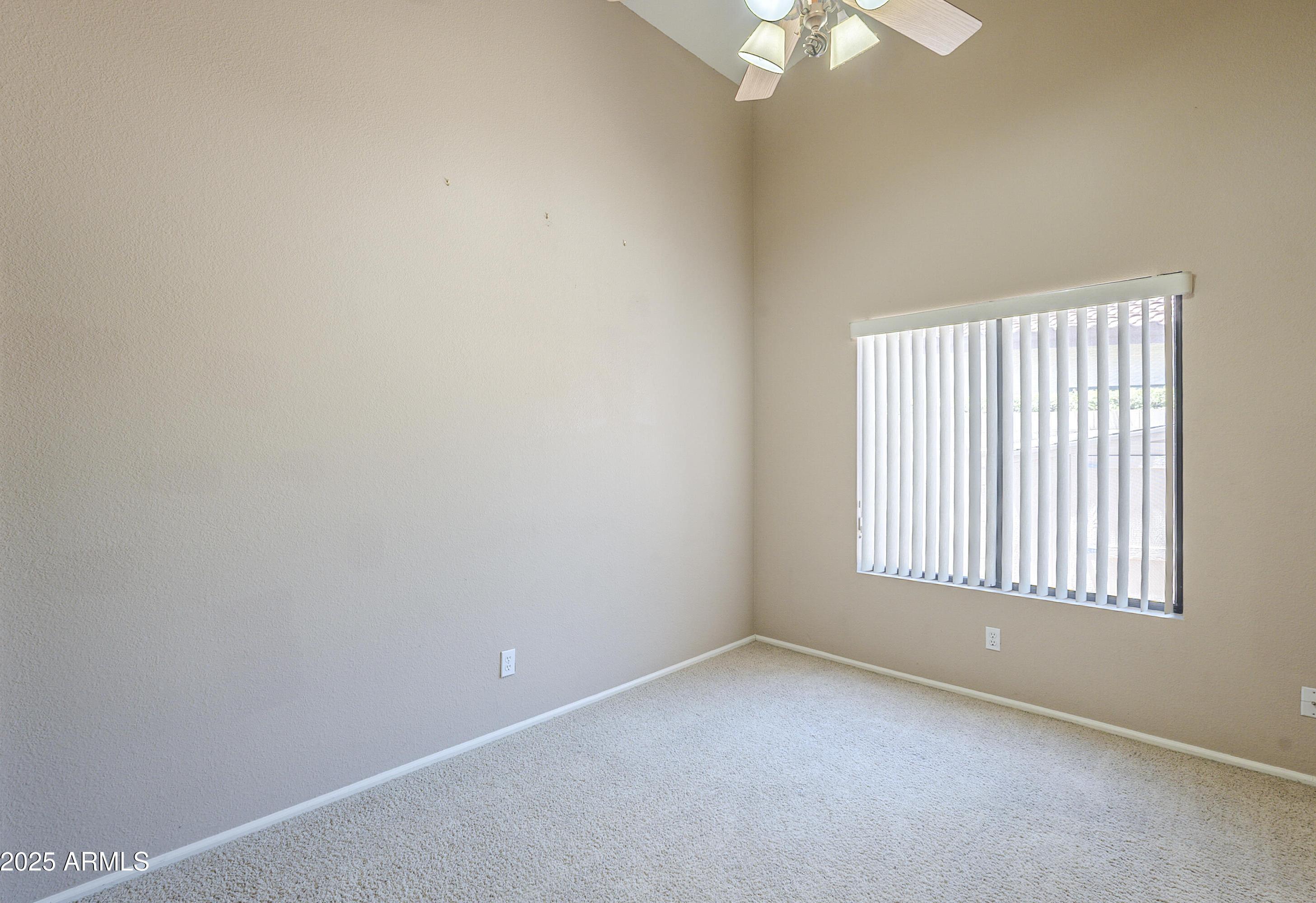 Photo #41