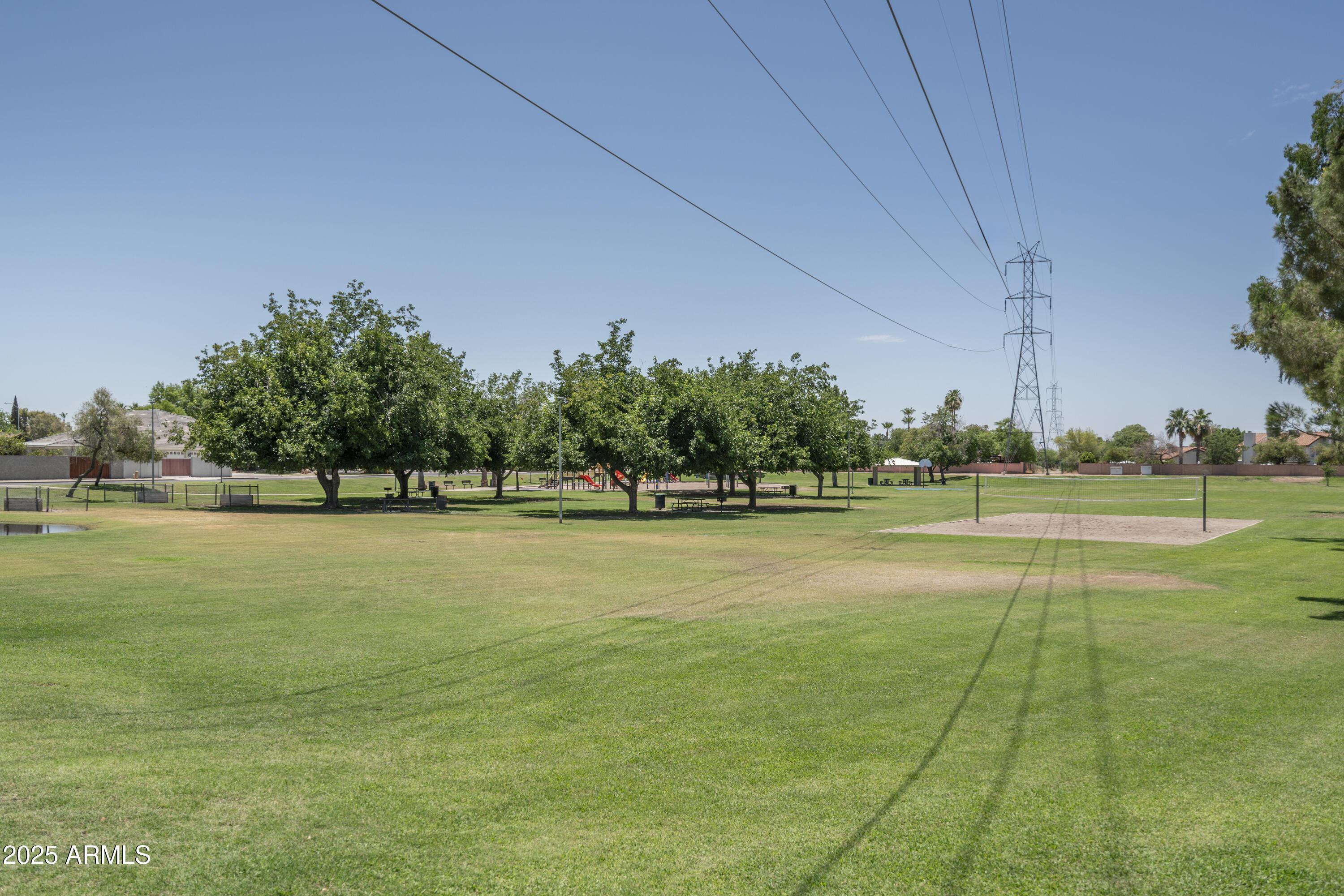Photo #31
