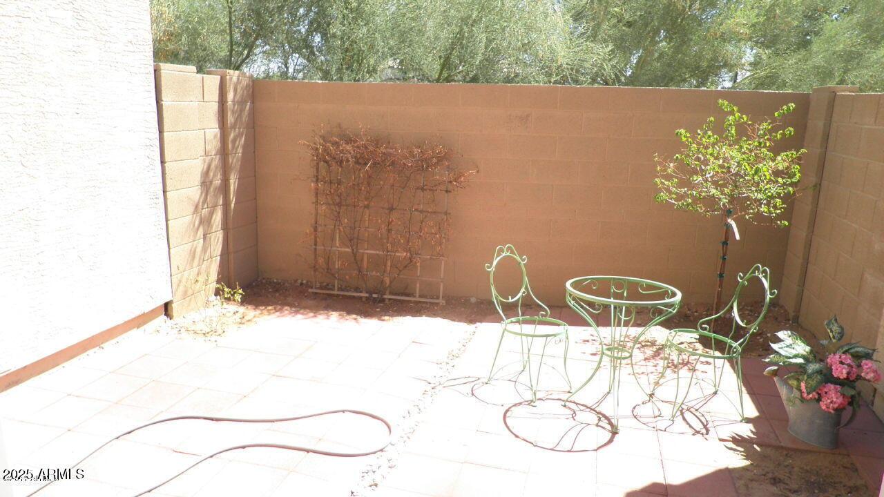 Photo #8