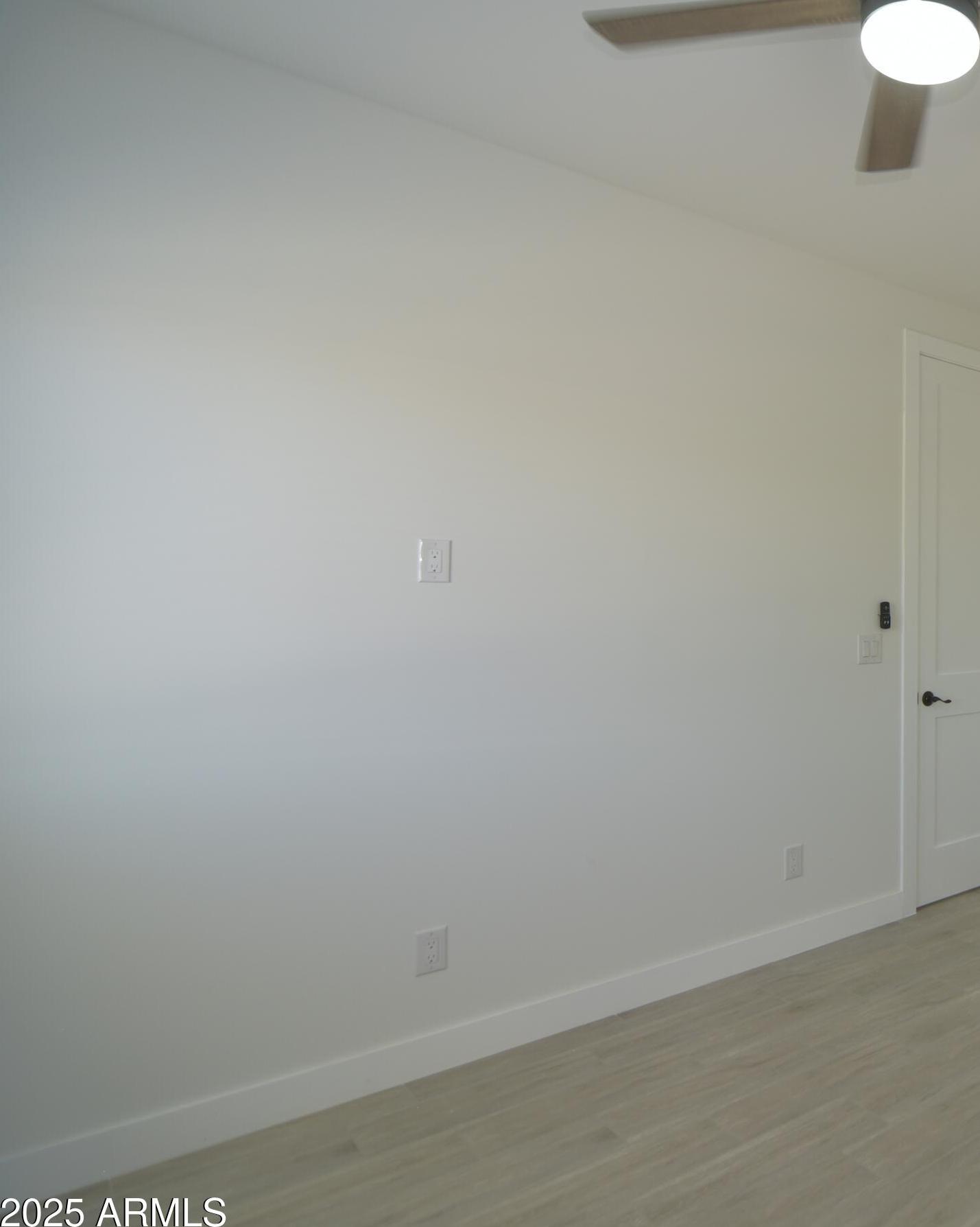 Photo #42