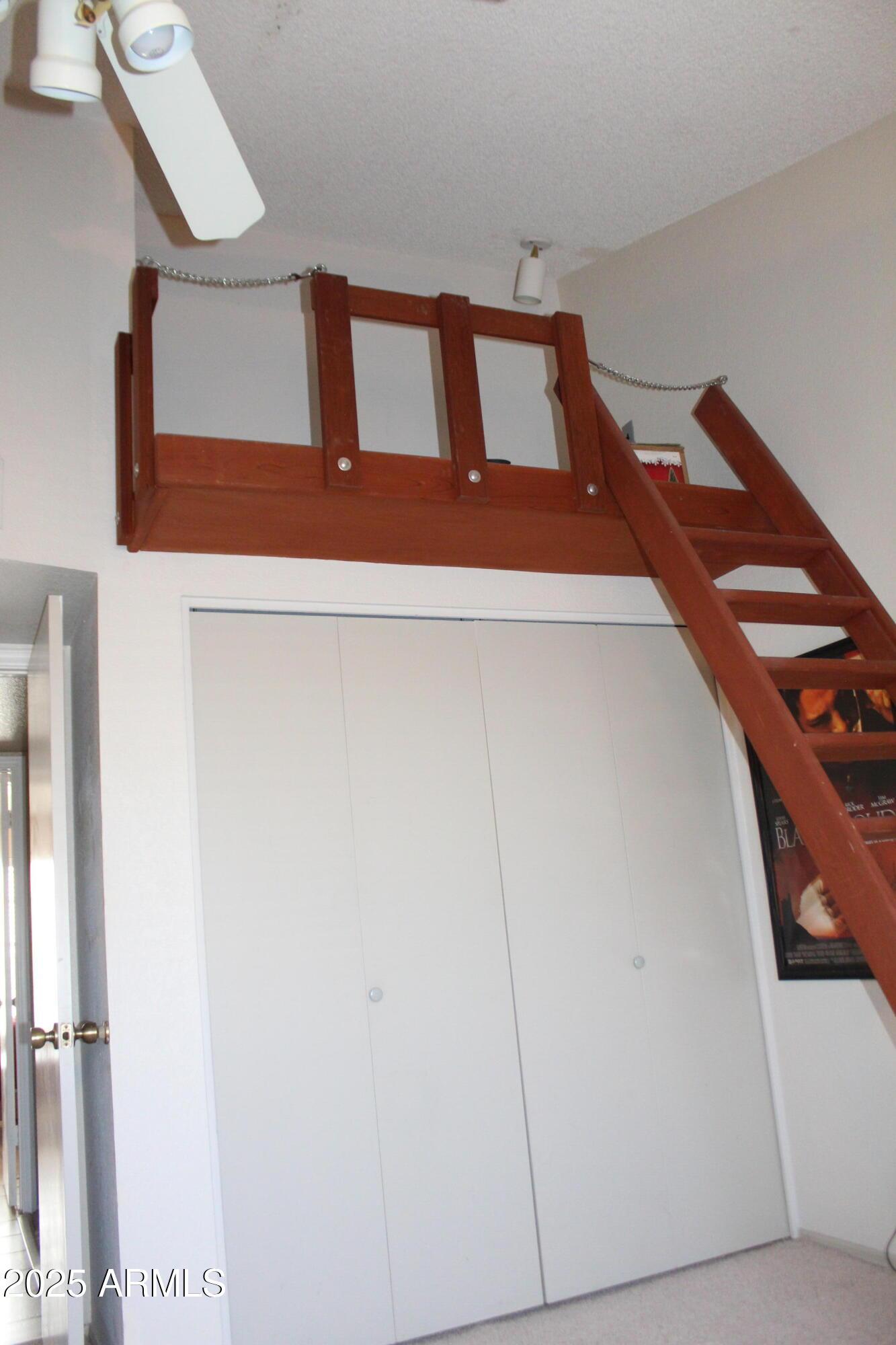 Photo #21