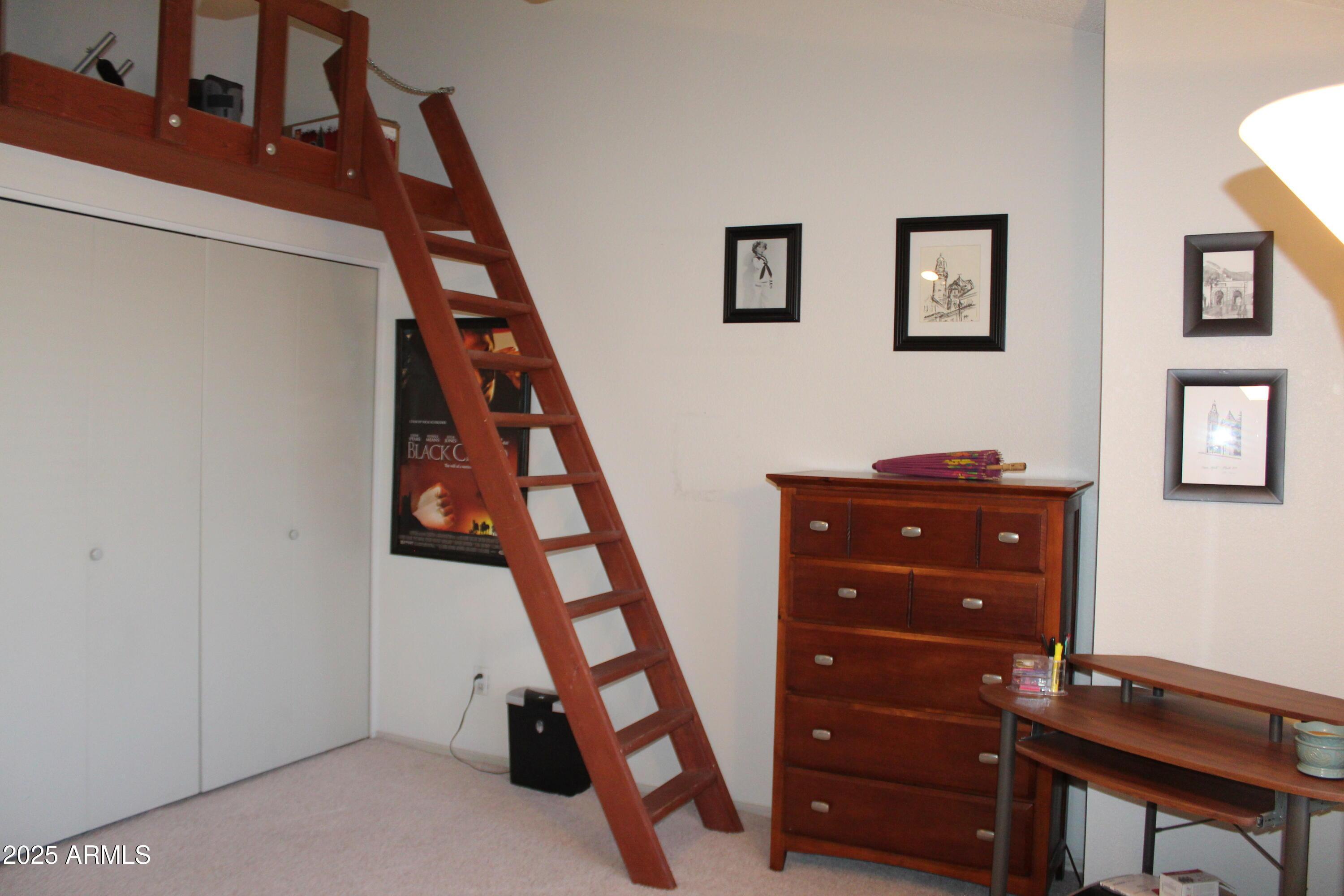 Photo #20