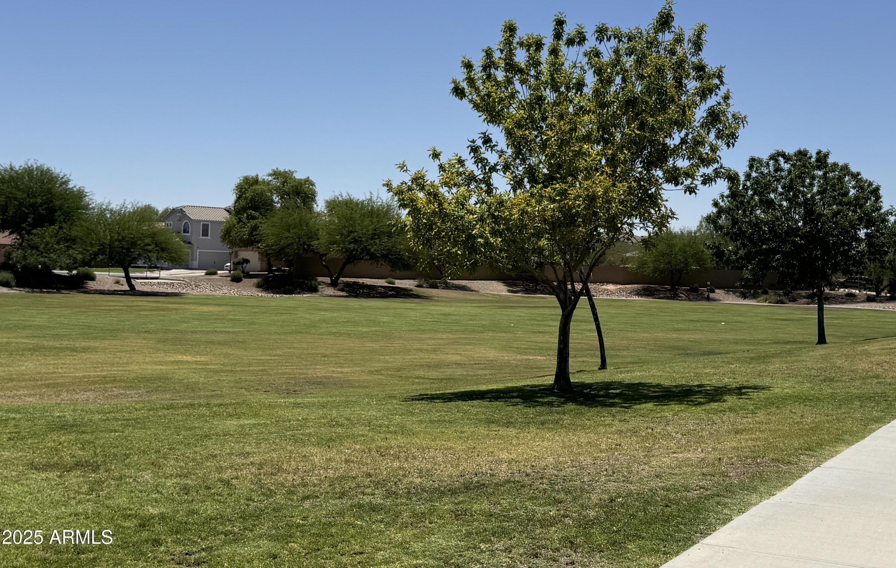 Photo #29