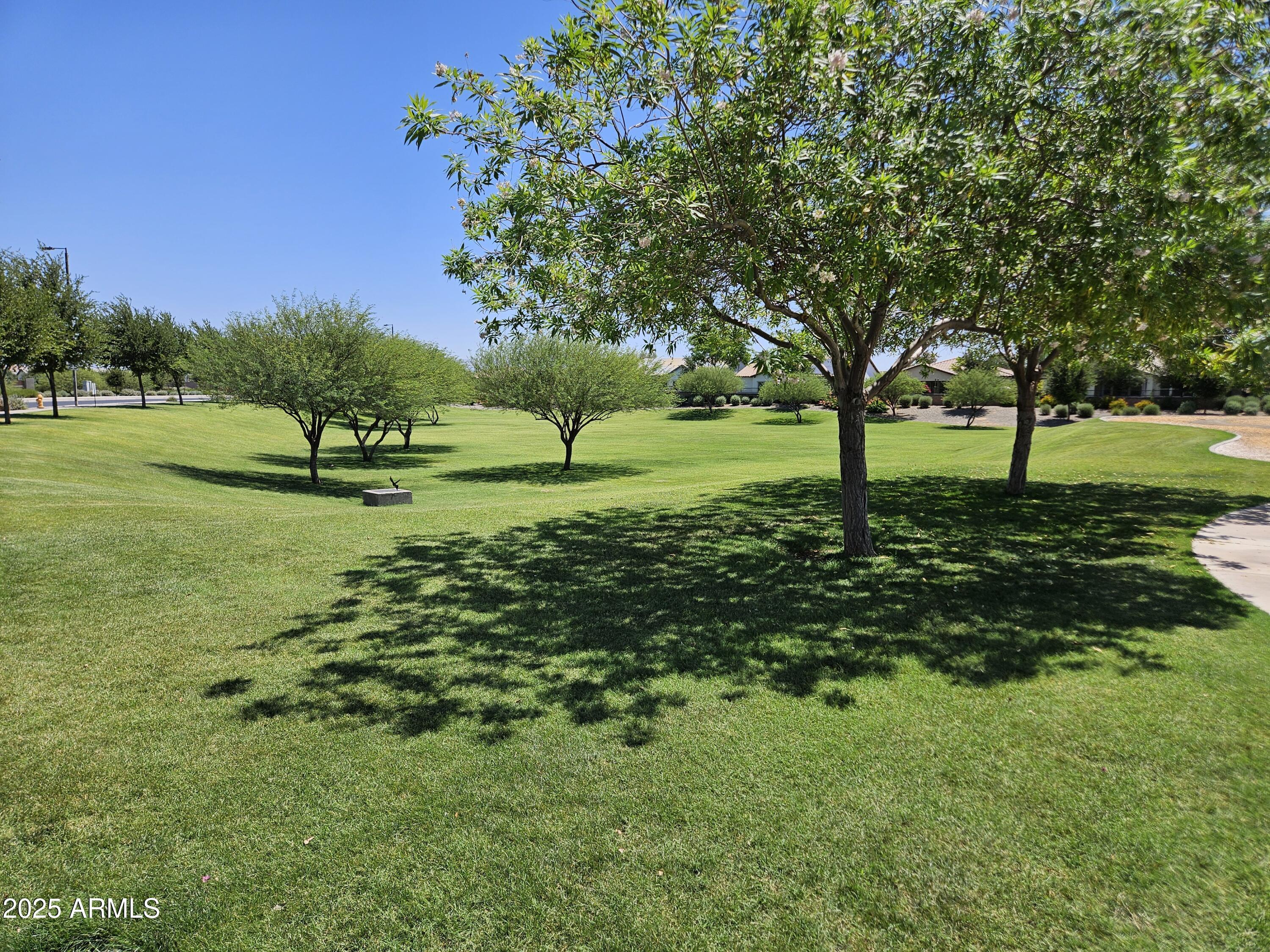 Photo #35