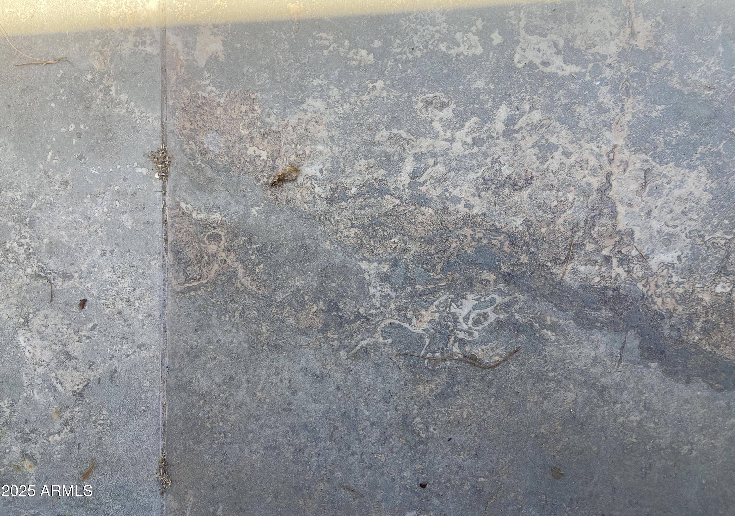 Photo #32