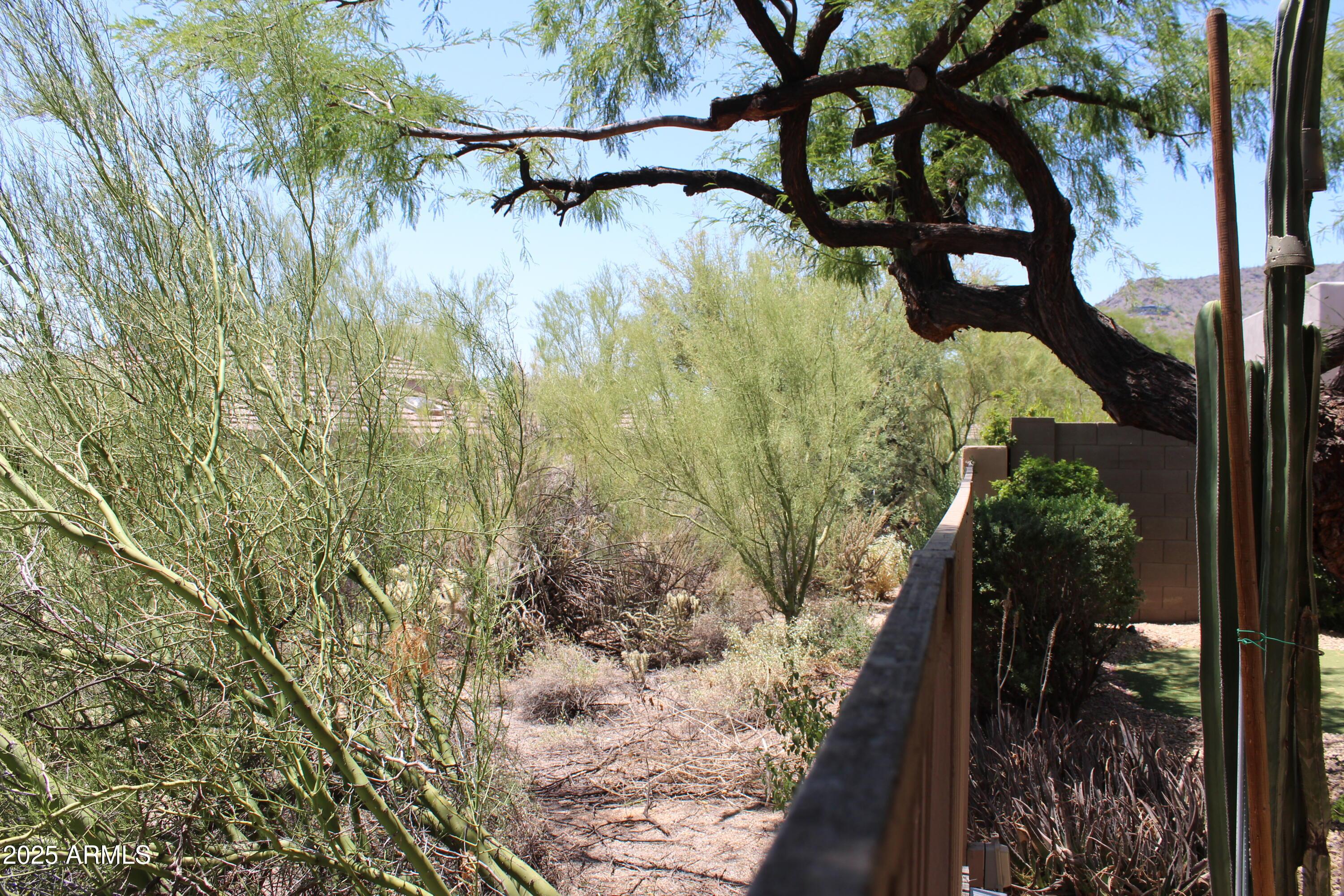 Photo #31