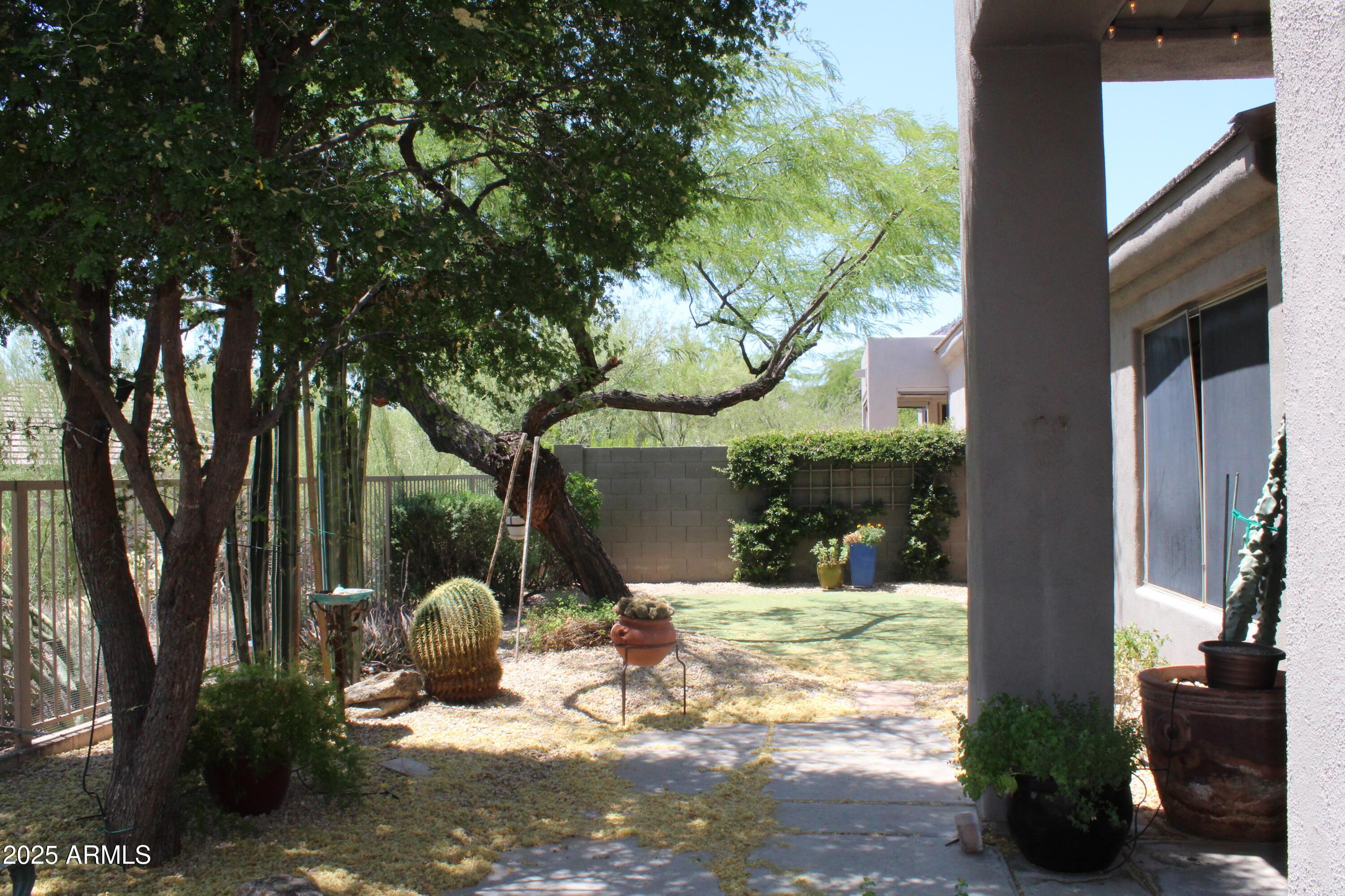 Photo #34