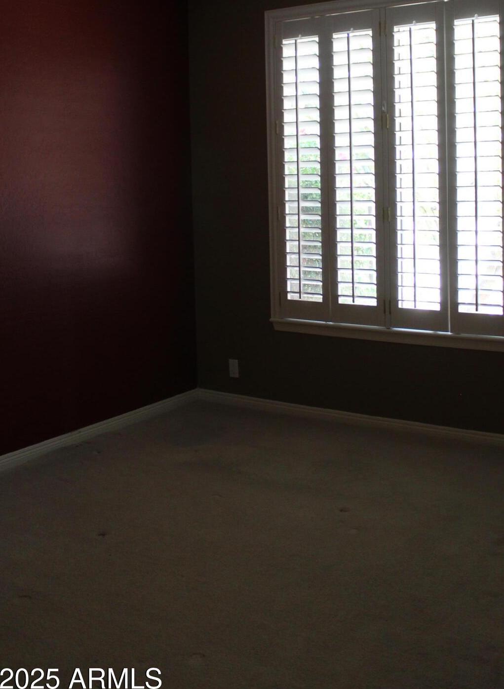 Photo #23